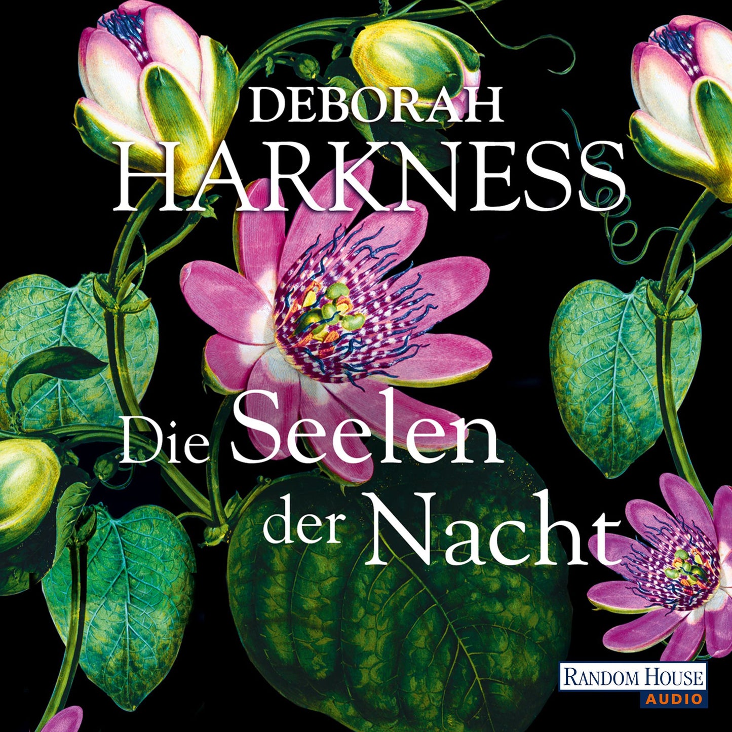 Die Seelen der Nacht