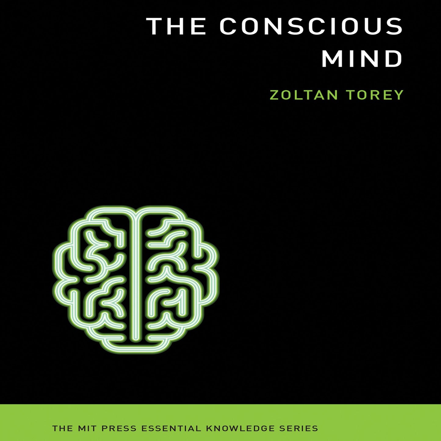 The Conscious Mind, the