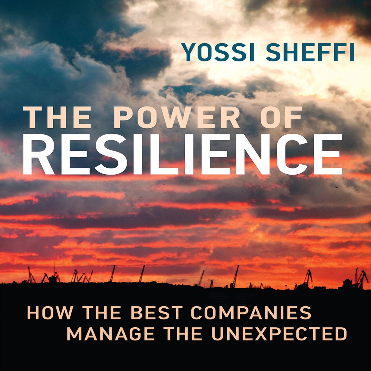 The Power of Resilience: How the Best Companies Manage the Unexpected