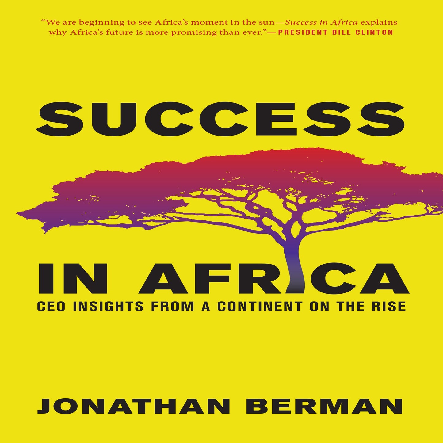 Success in Africa: CEO Insights from a Continent on the Rise