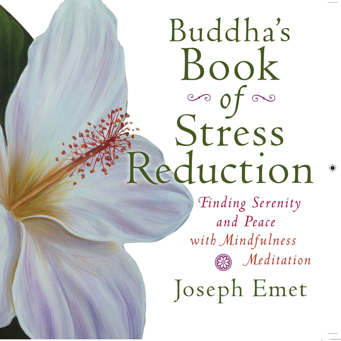 Buddha's Book of Stress Reduction: Finding Serenity and Peace with Mindfulness Meditation