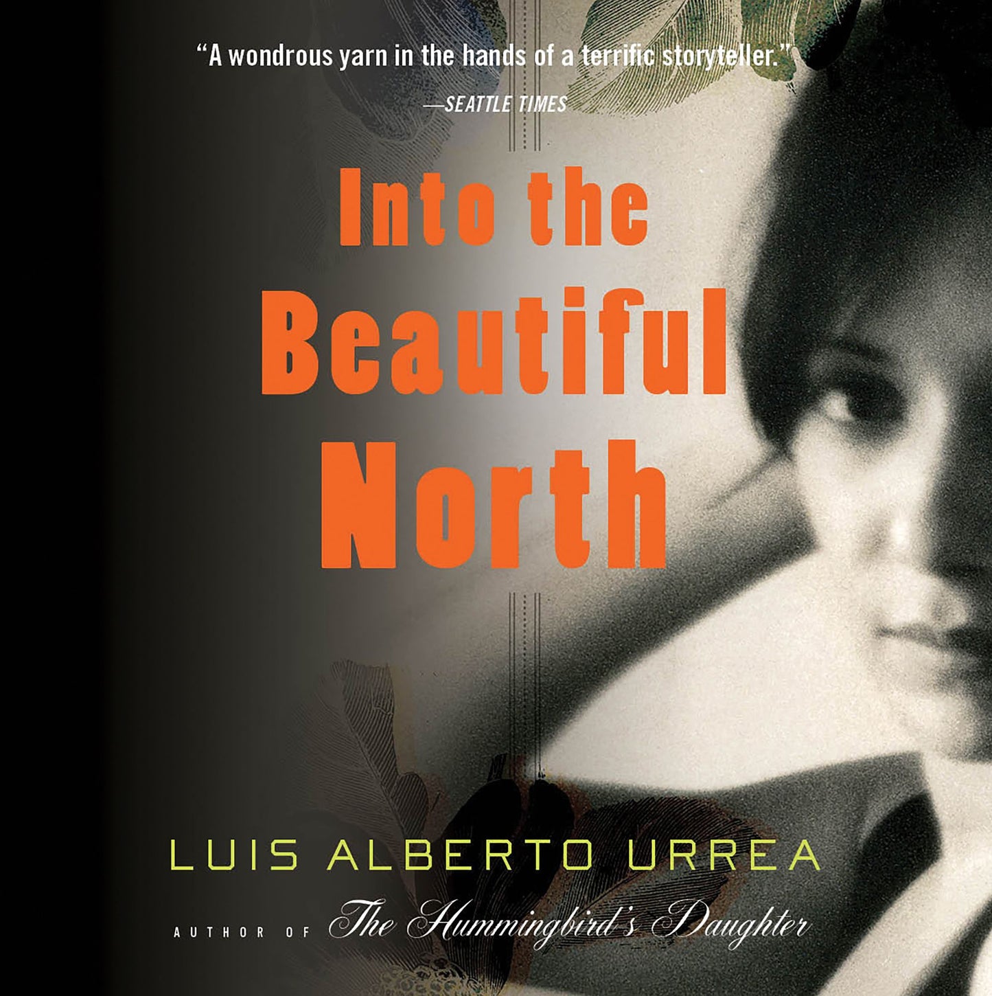 Into the Beautiful North: A Novel