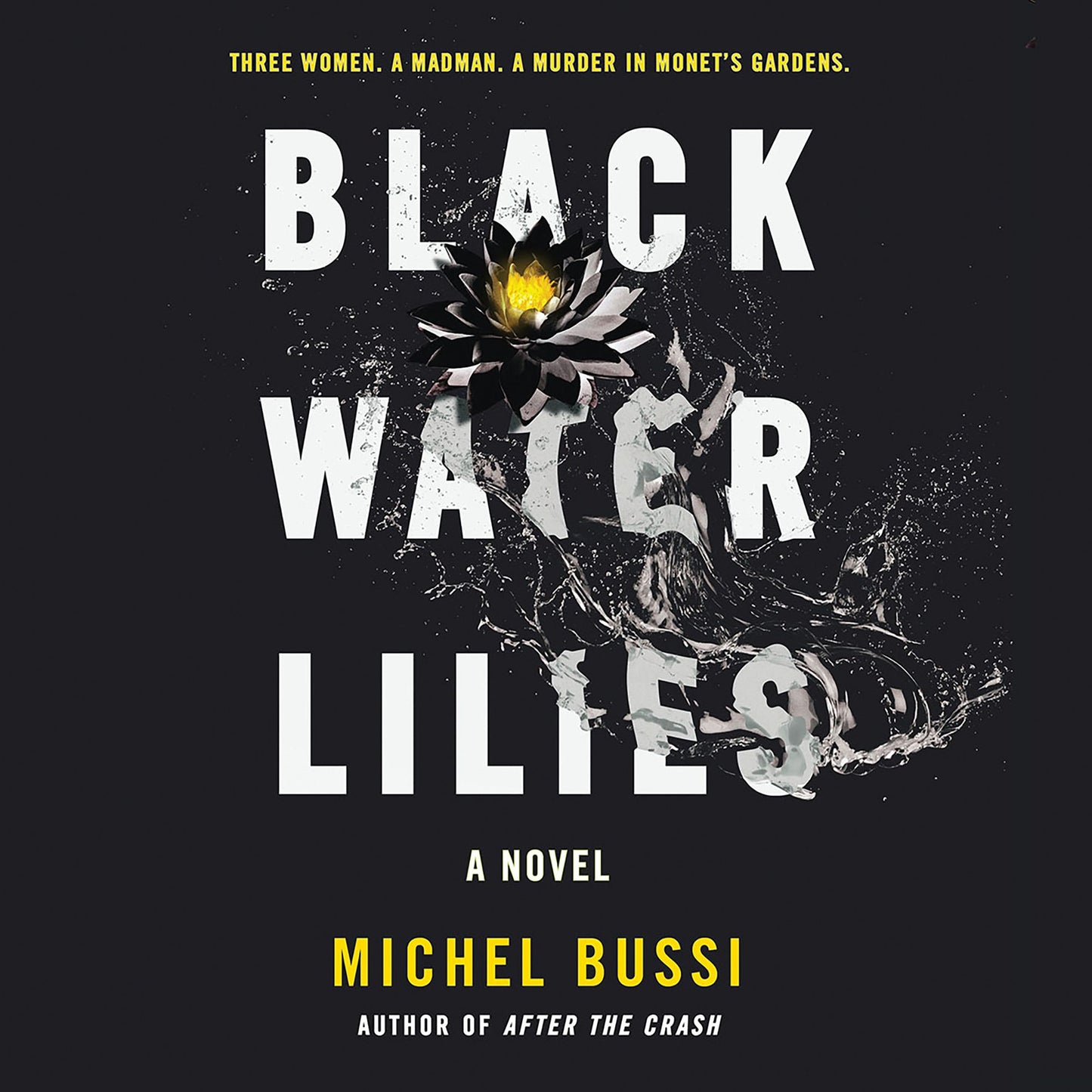 Black Water Lilies: A Novel
