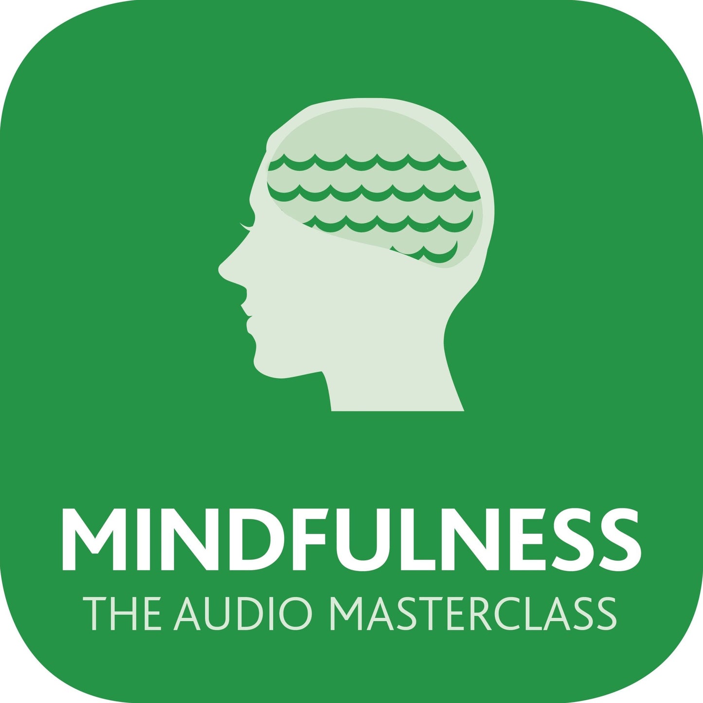 Mindfulness: The Audio Masterclass: The Comprehensive Guide to Mindful Practice