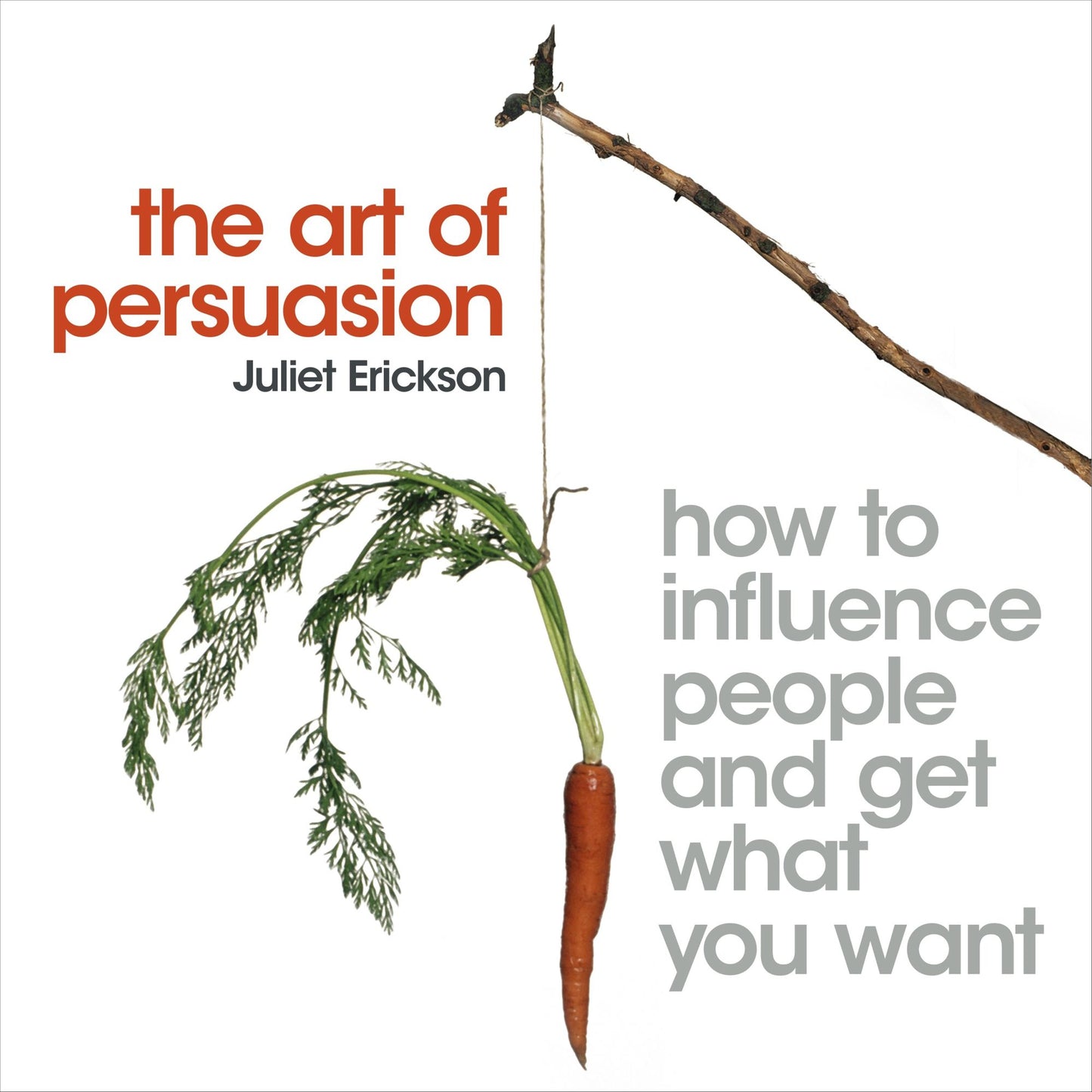 The Art of Persuasion: how to influence people and get what you want