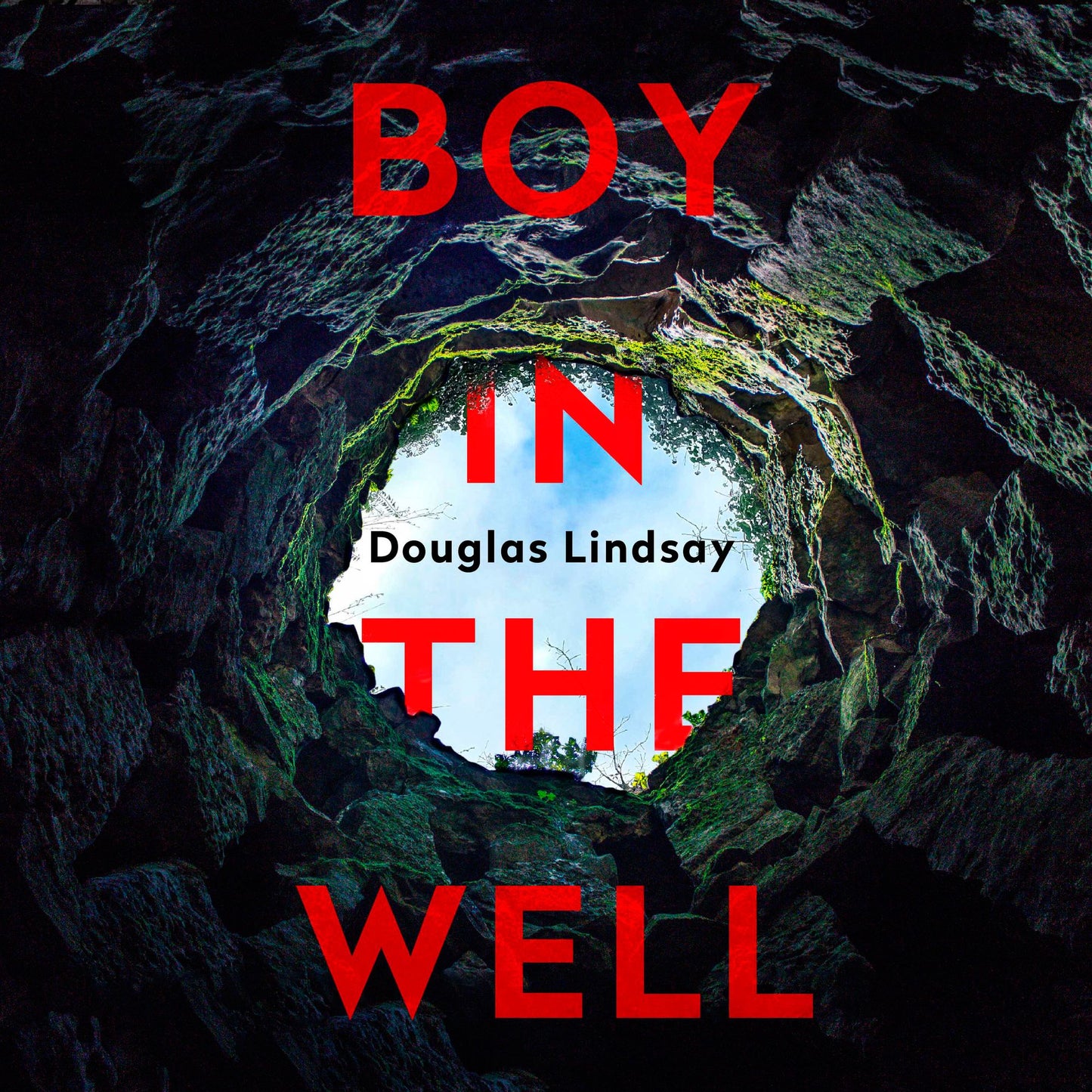Boy in the Well: DI Westphall, Book 2