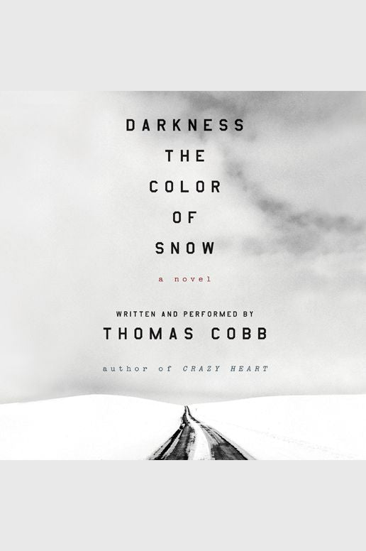 Darkness the Color of Snow: A Novel