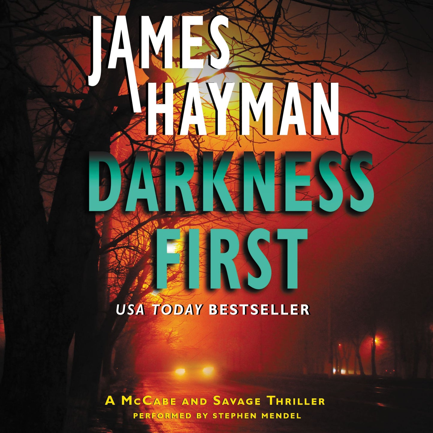 Darkness First: A McCabe and Savage Thriller