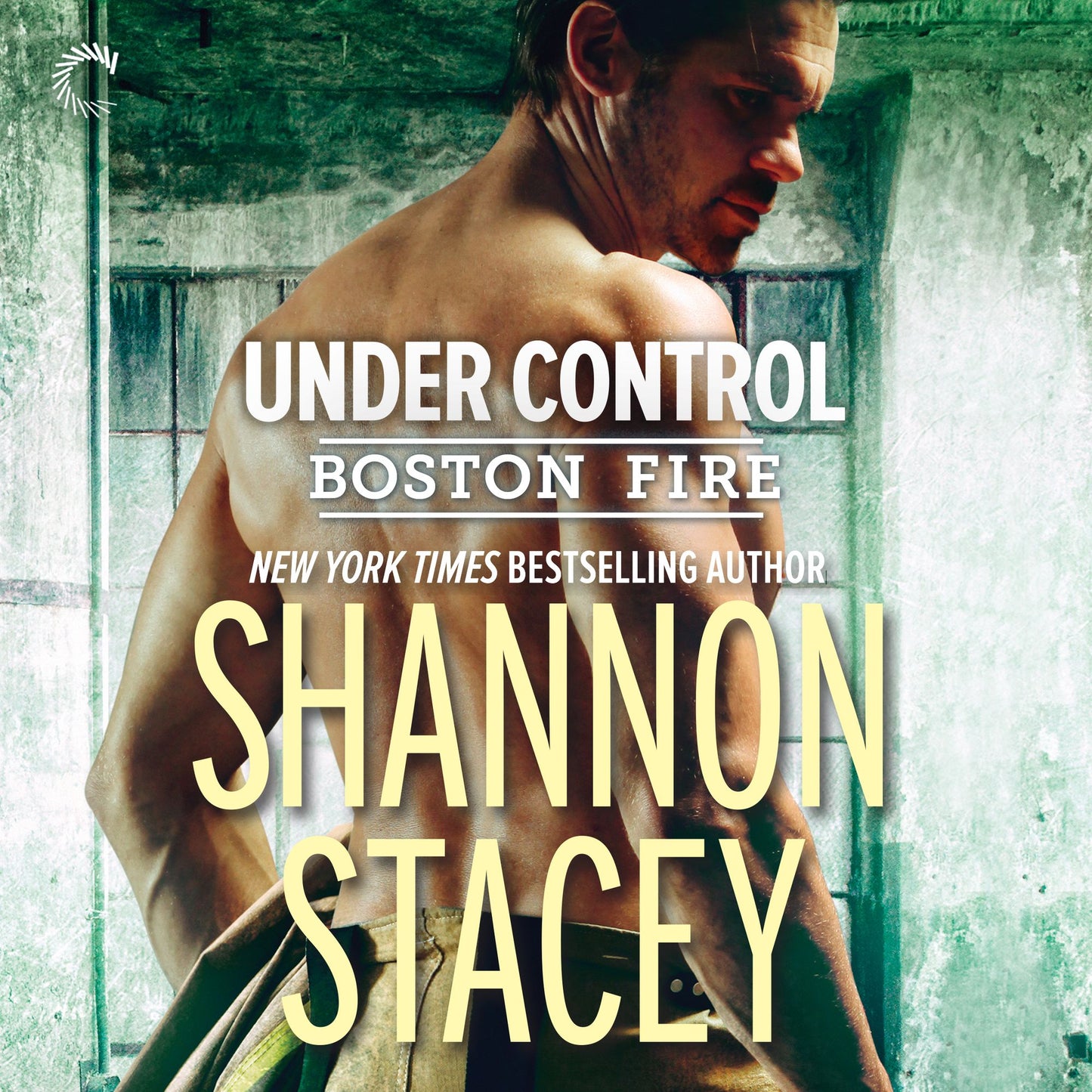 Under Control: Boston Fire, Book 5