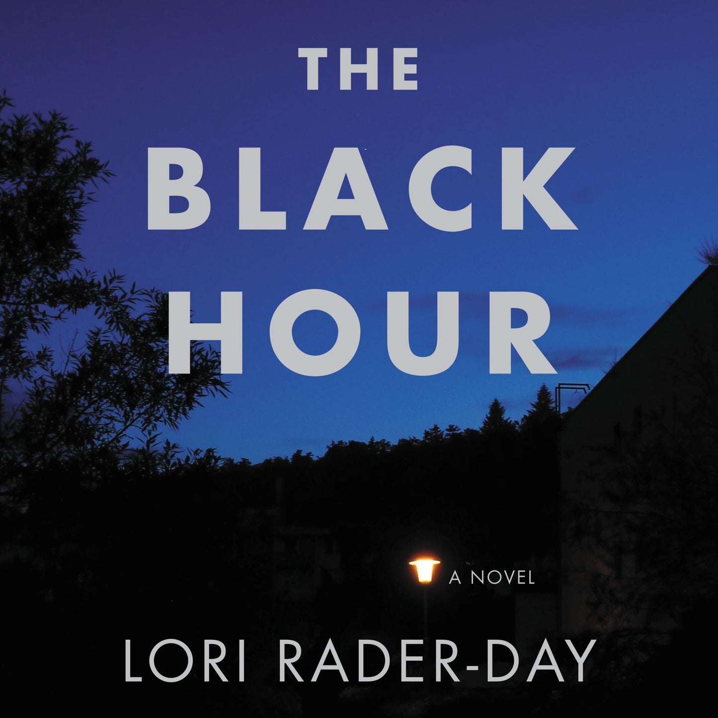 Black Hour: A Novel