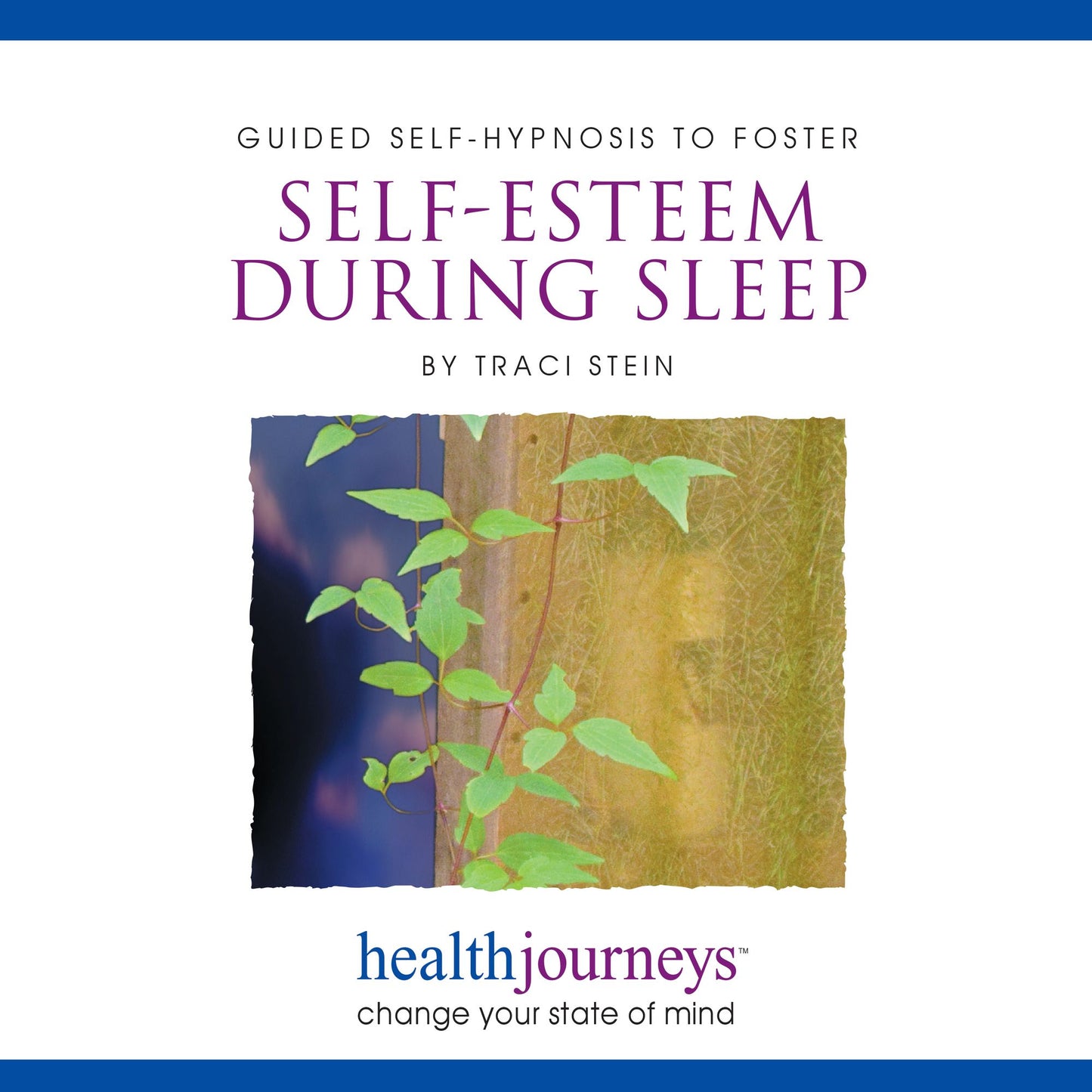Guided Self-Hypnosis To Foster Self-Esteem during Sleep : change your state of mind