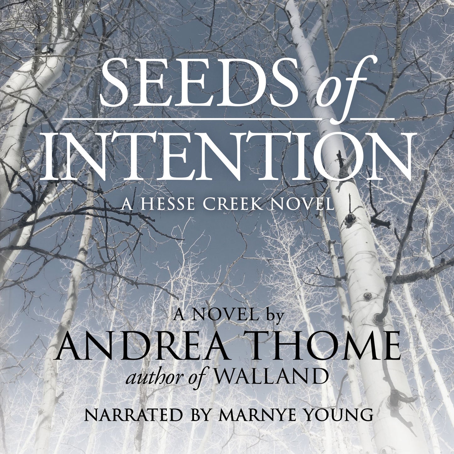Seeds of Intention: Hesse Creek Series--Book Two