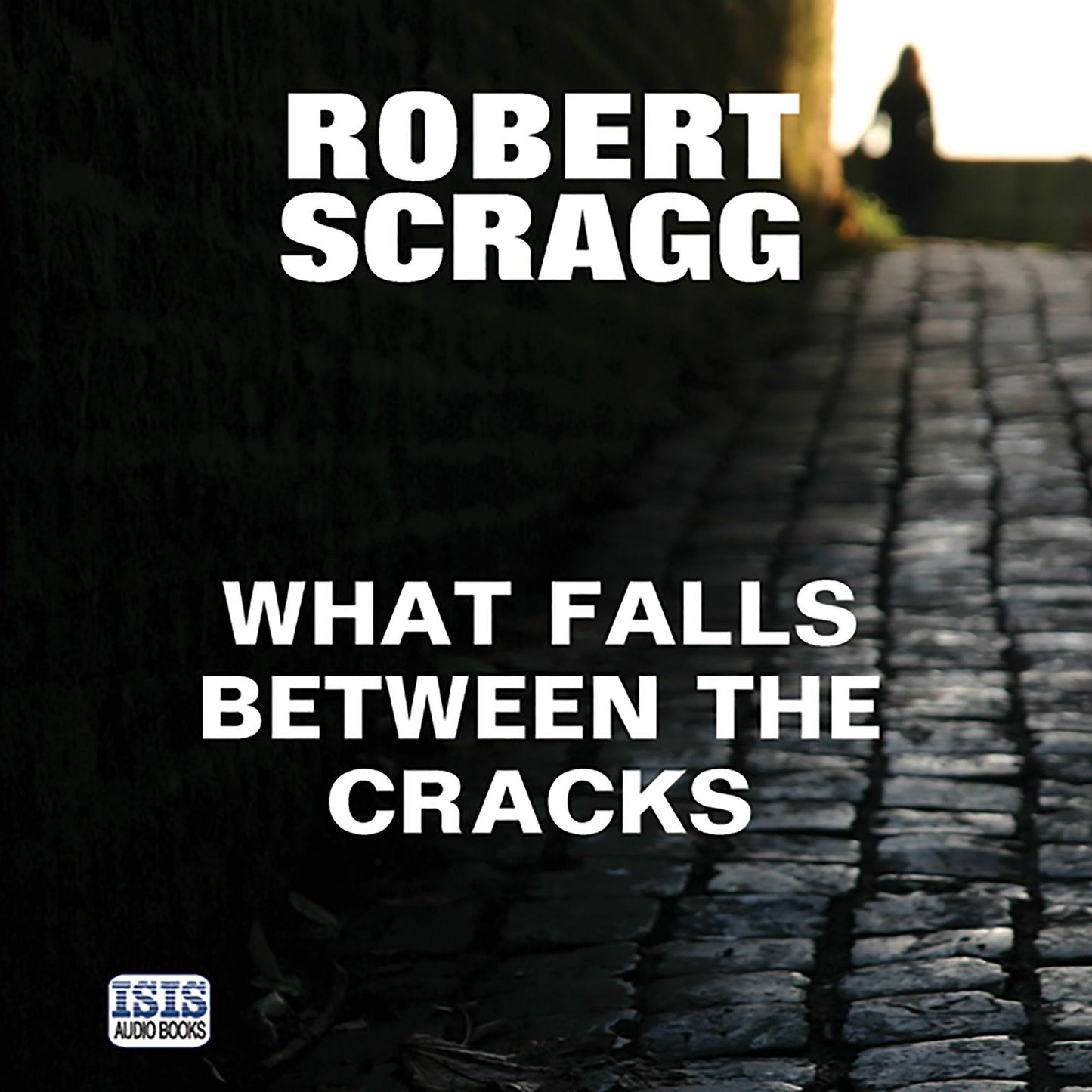 What Falls Between the Cracks: Porter and Styles, Book 1