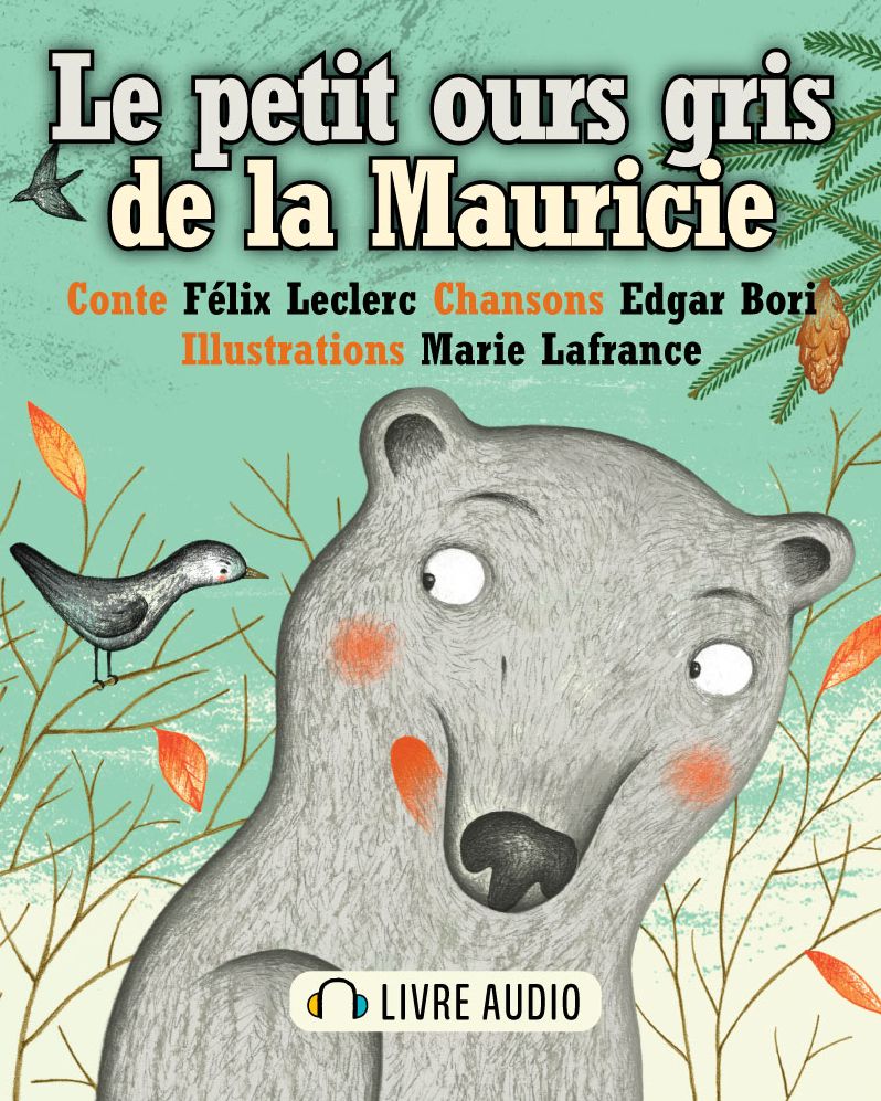 Le petit ours gris de la Mauricie