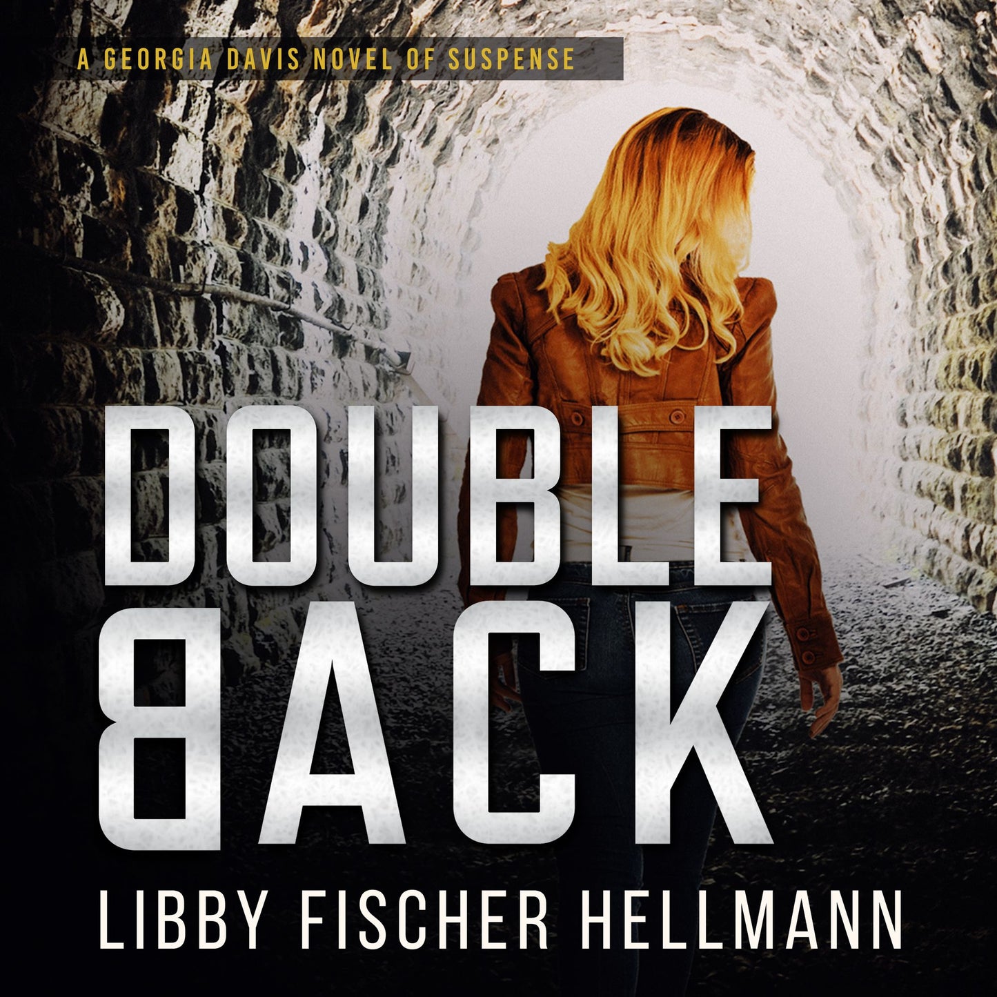 Doubleback : Female PI Finds Kidnapping is just the Beginning