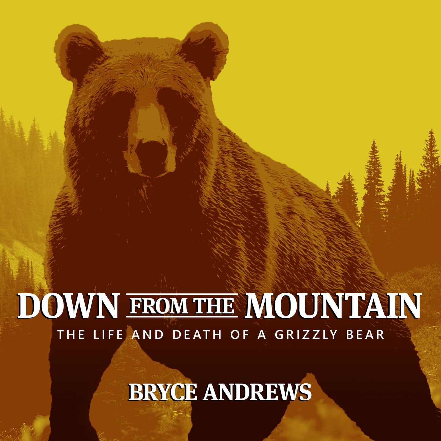 Down from the Mountain: The Life and Death of a Grizzly Bear