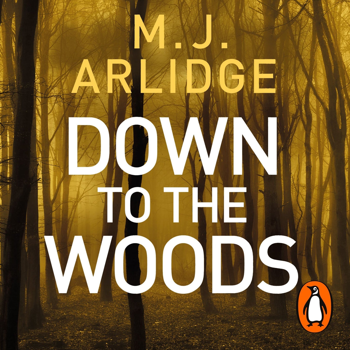 Down to the Woods: DI Helen Grace, Book 8