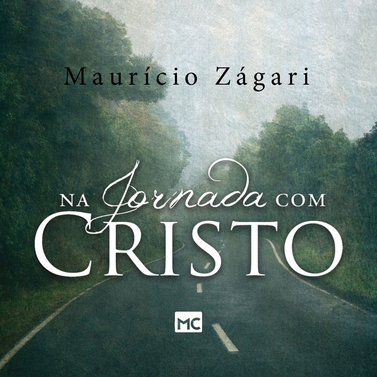Na jornada com Cristo : Um livro para quem quer entender o sentido da vida e viver uma vida que faça sentido (Abridged)