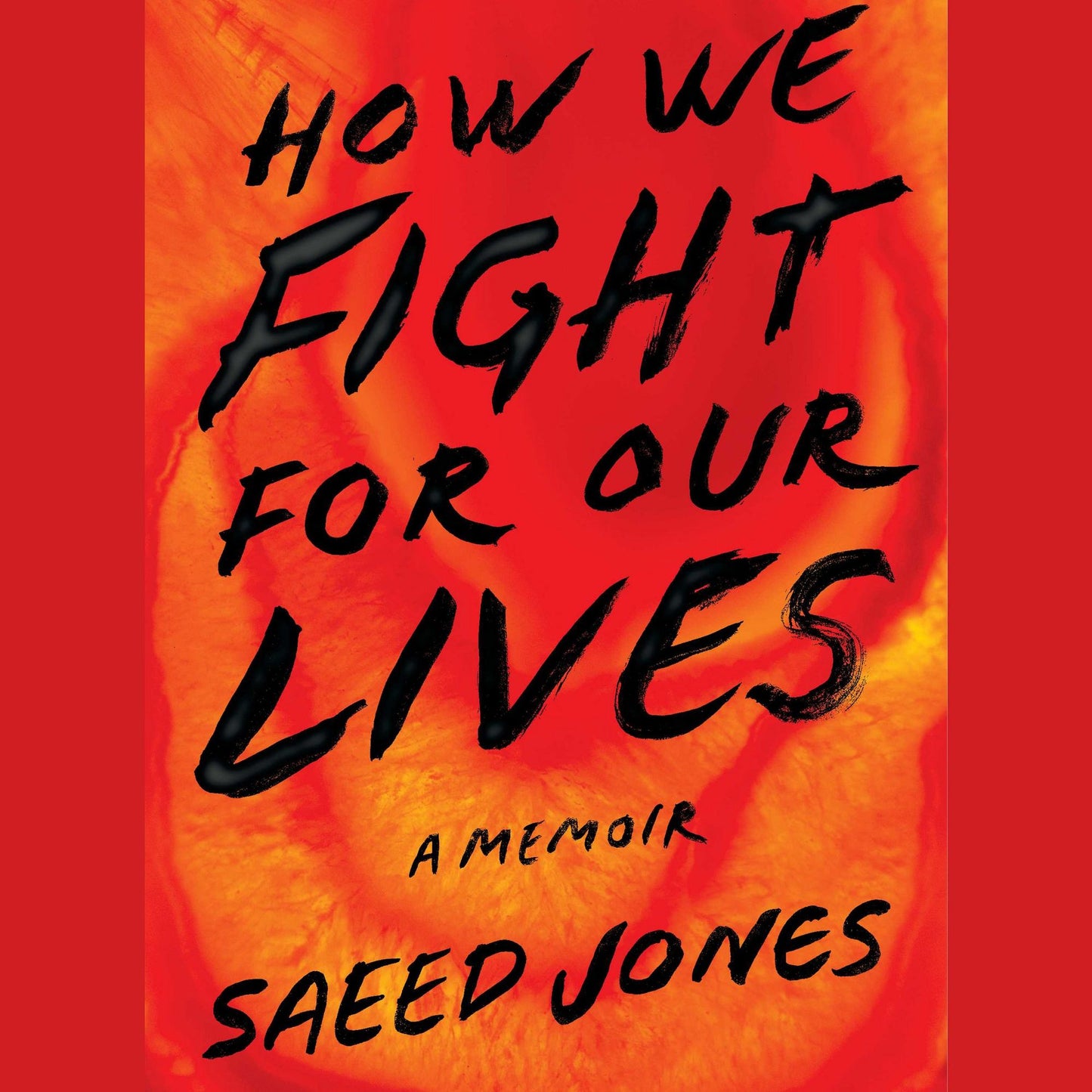 How We Fight For Our Lives: A Memoir
