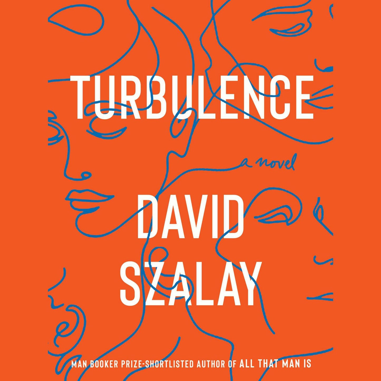 Turbulence: A Novel