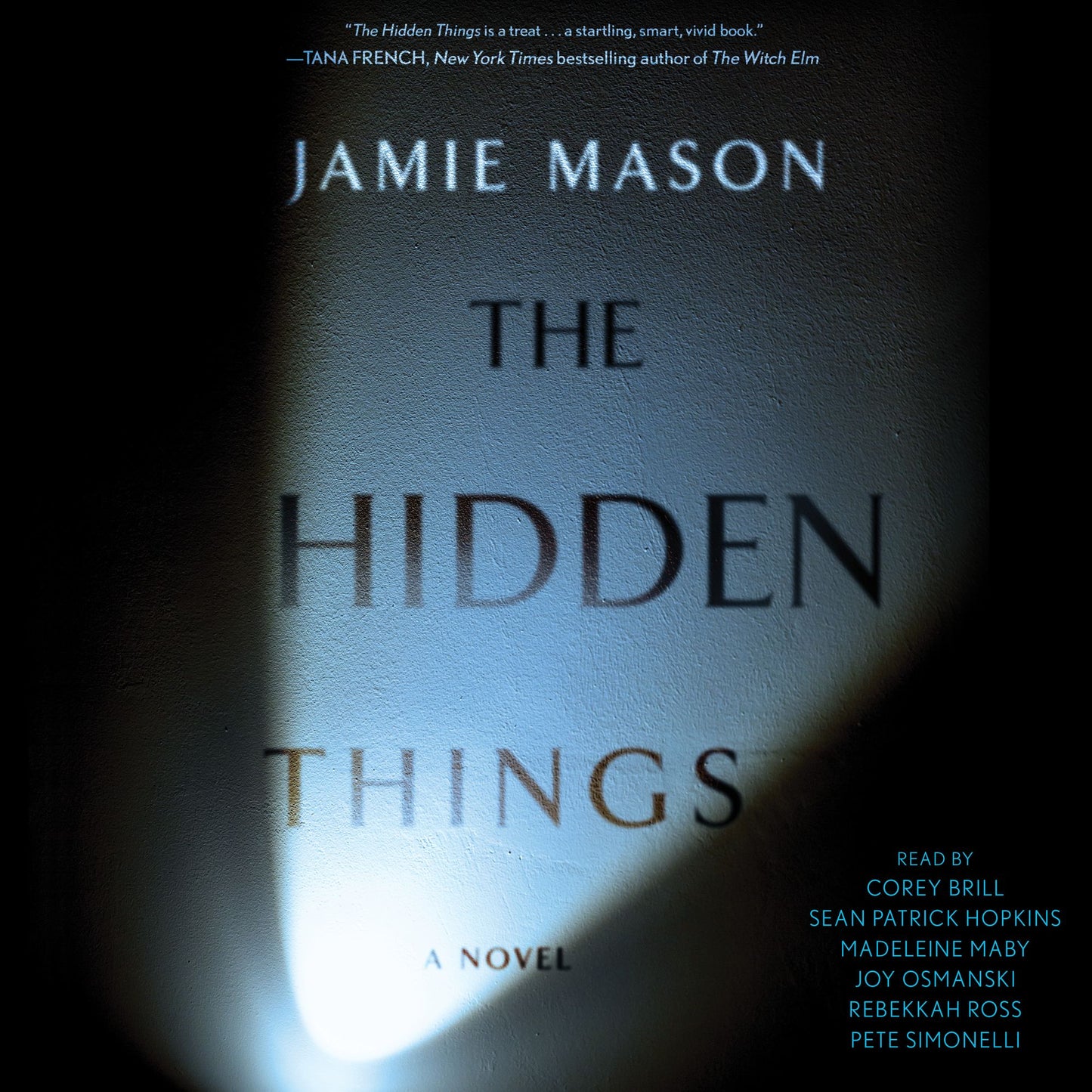 The Hidden Things: A Novel