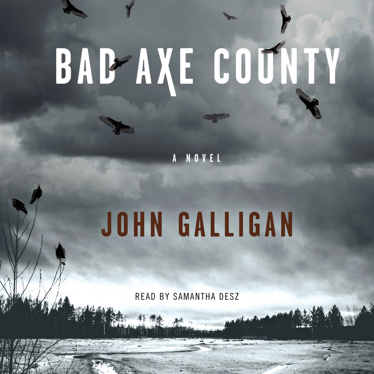 Bad Axe County: A Novel