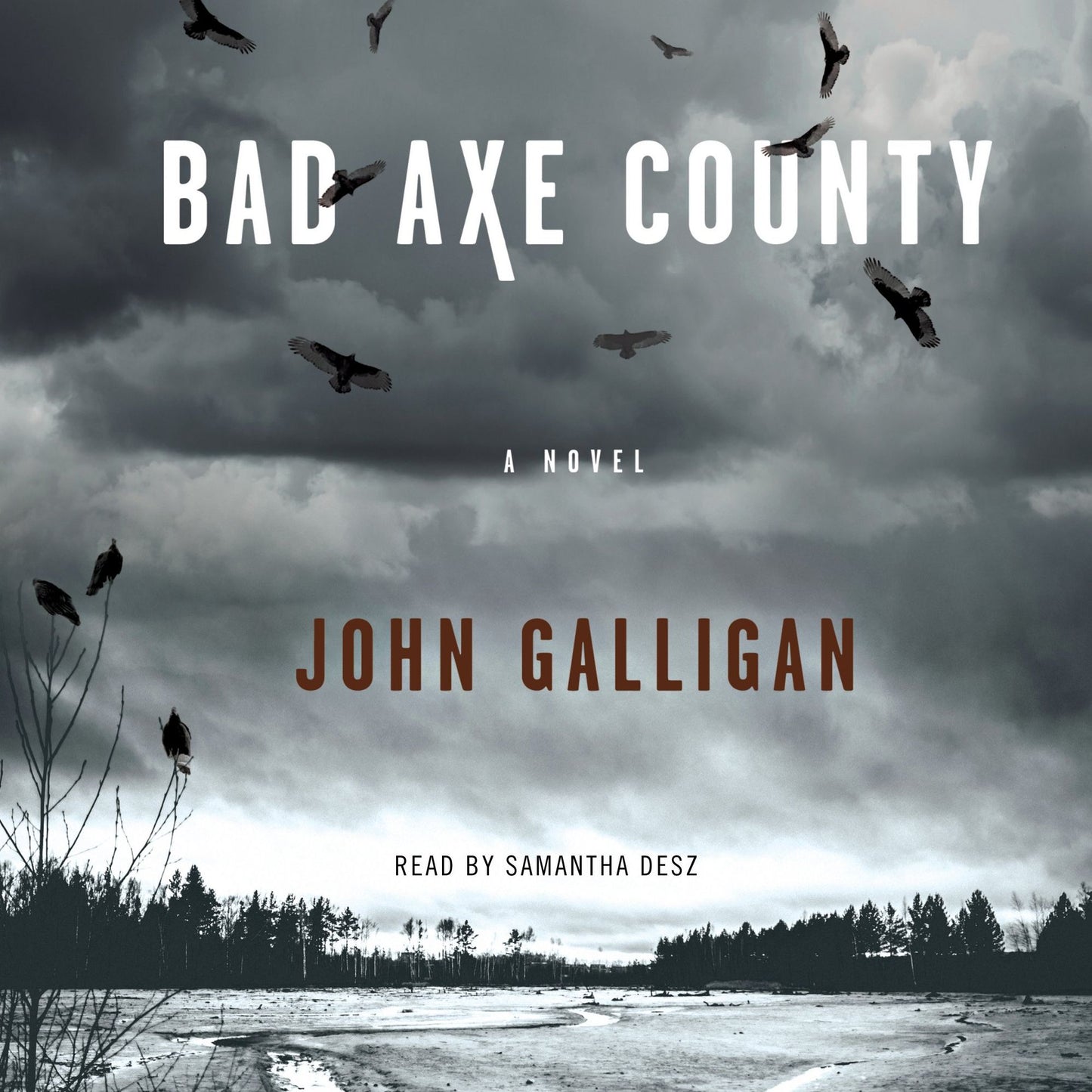 Bad Axe County: A Novel