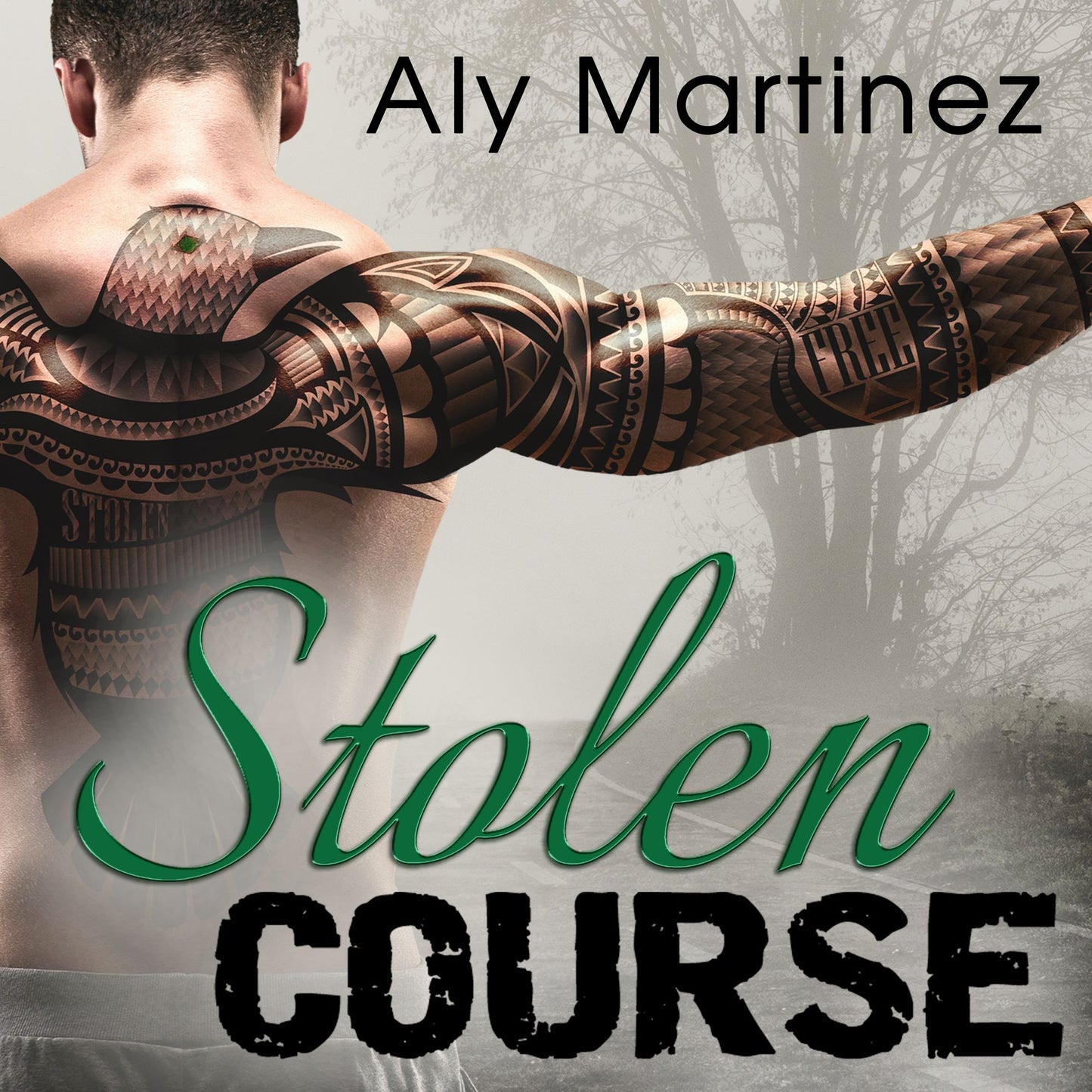 Stolen Course