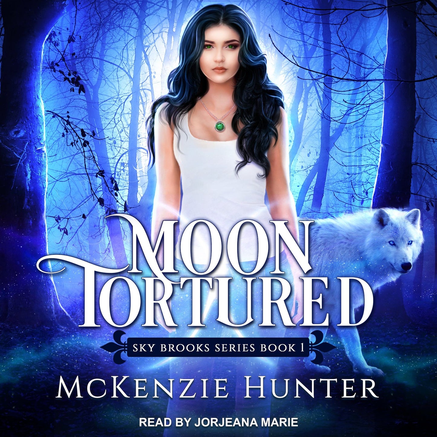 Moon Tortured: Sky Brooks, Book 1