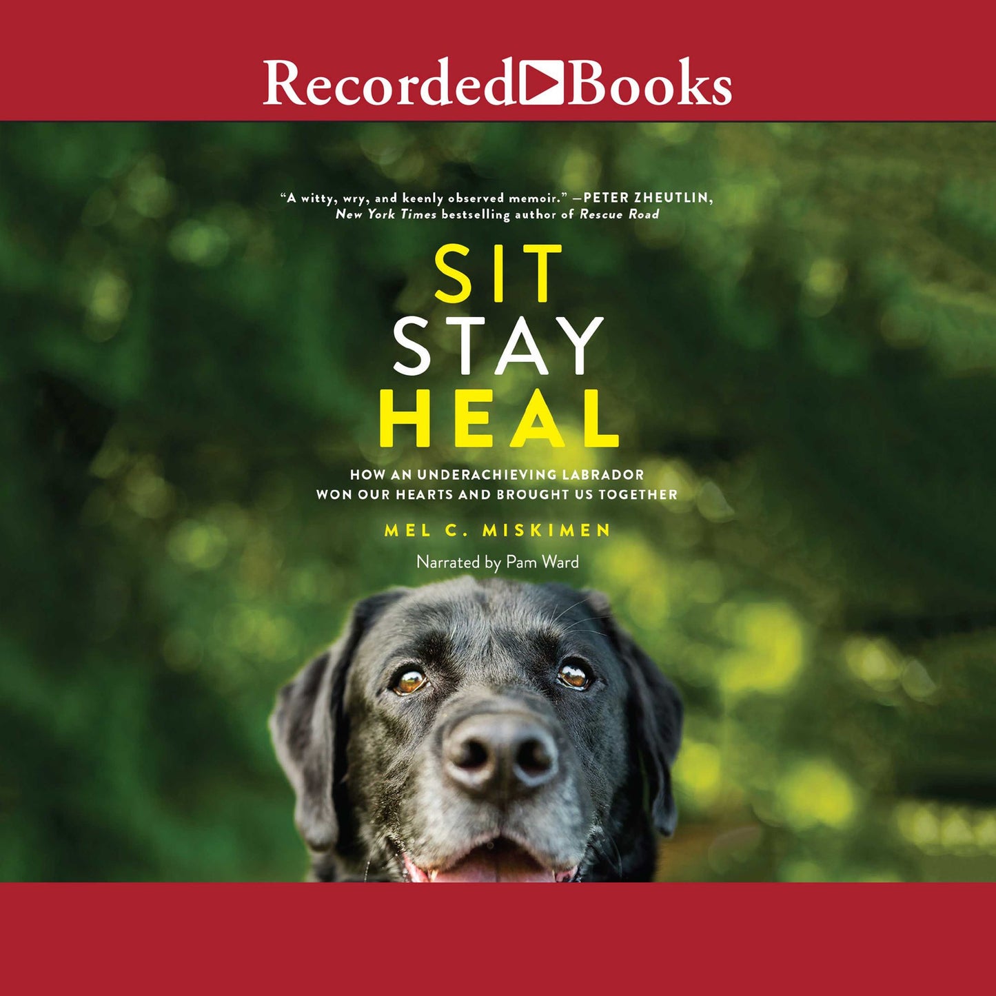 Sit Stay Heal: How an Underachieving Labrador Won Our Hearts and Brought Us Together
