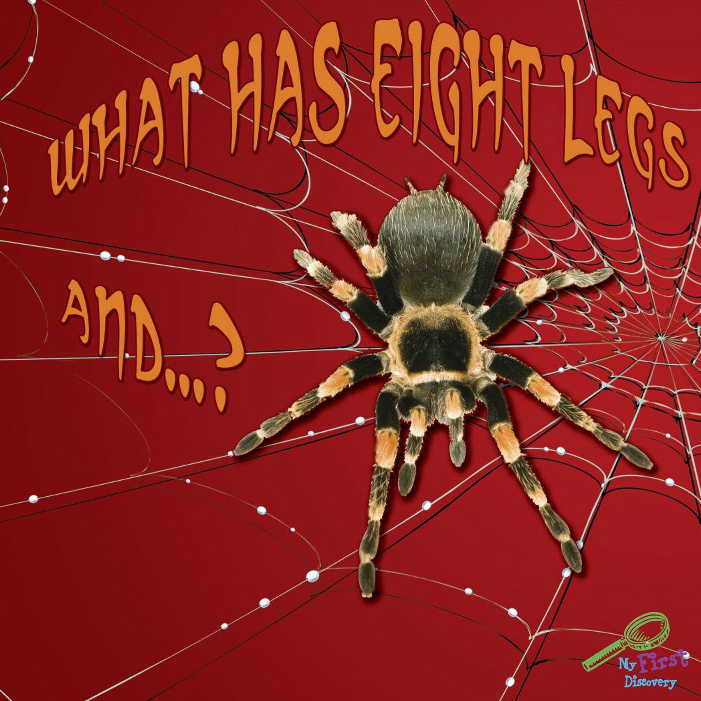 What Has Eight Legs and¿.?