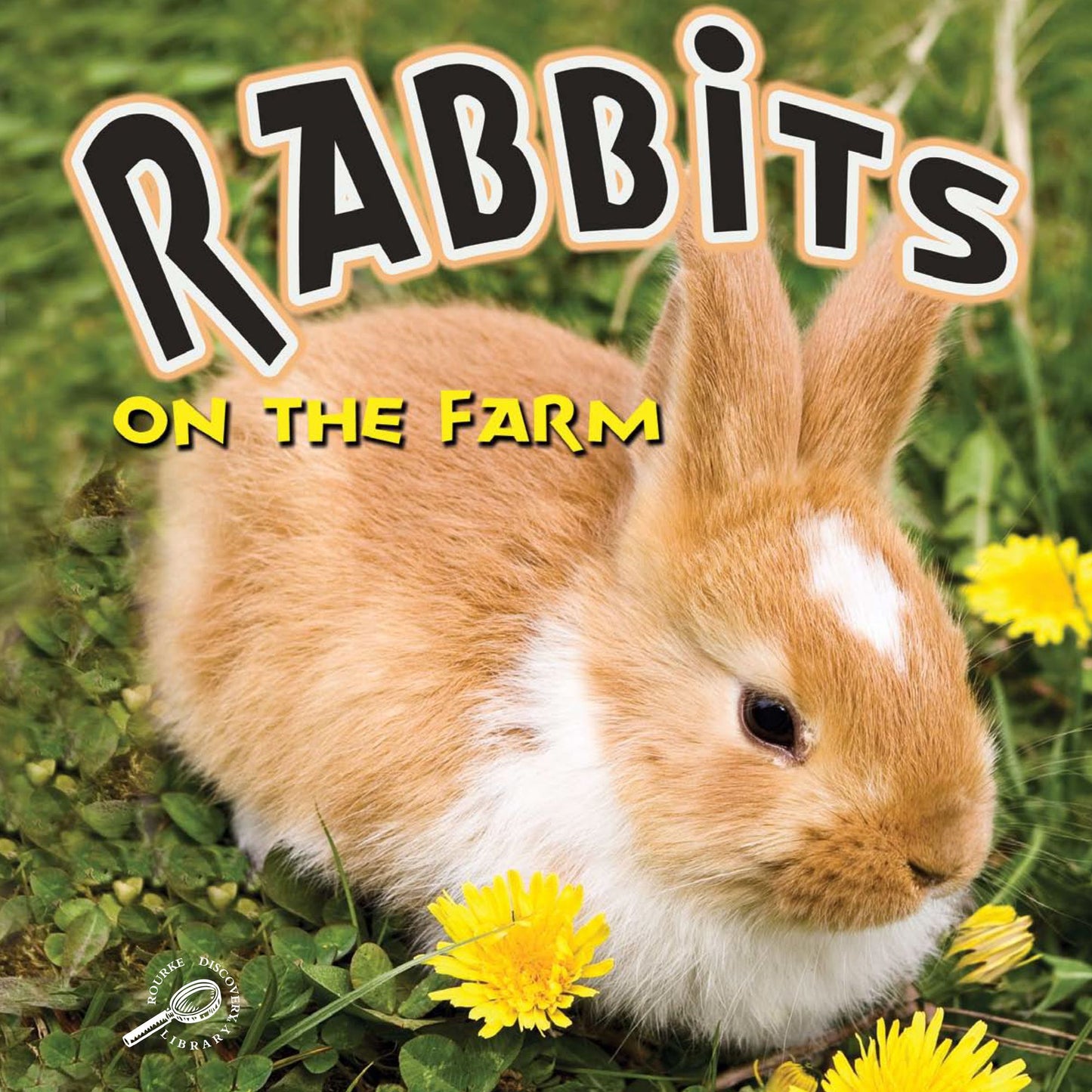 Rabbits on the Farm
