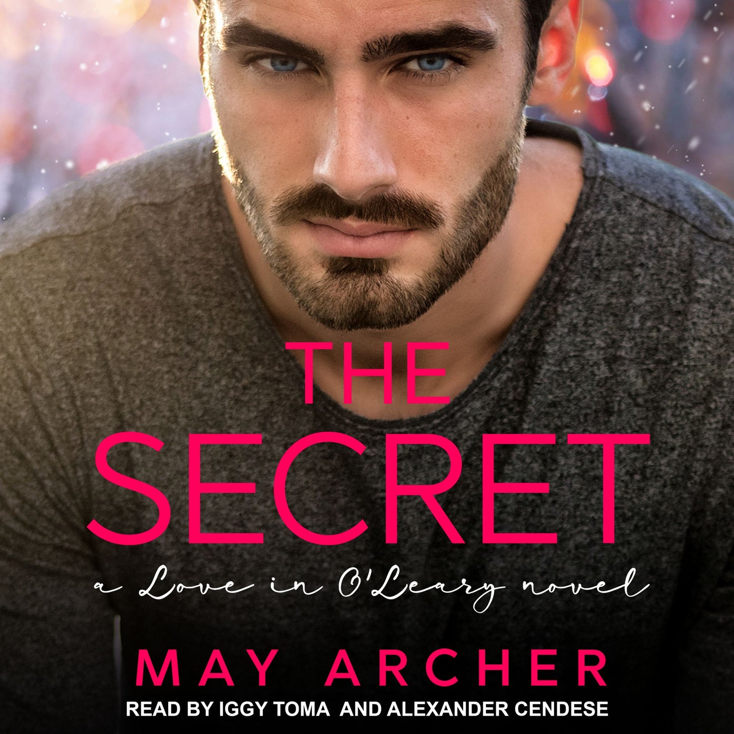 The Secret: A Love in O'Leary Novel