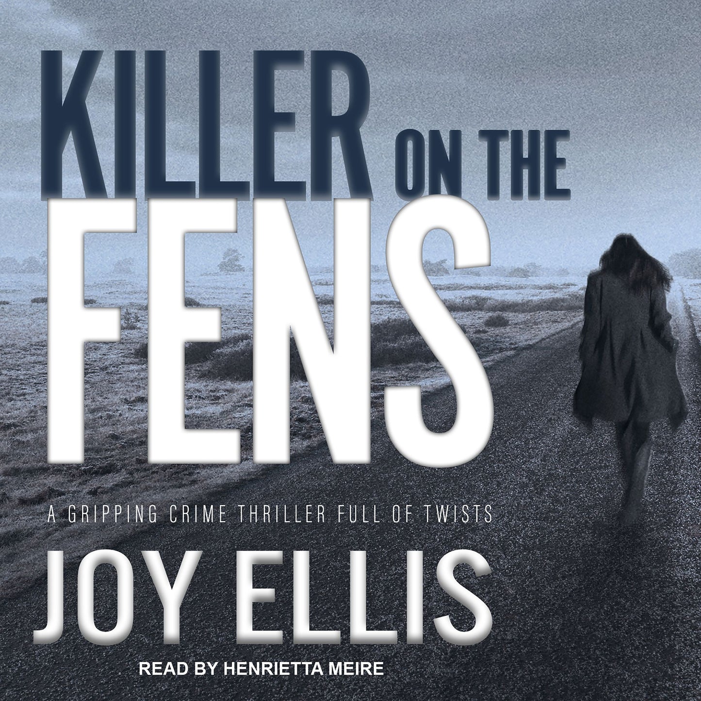 Killer on the Fens