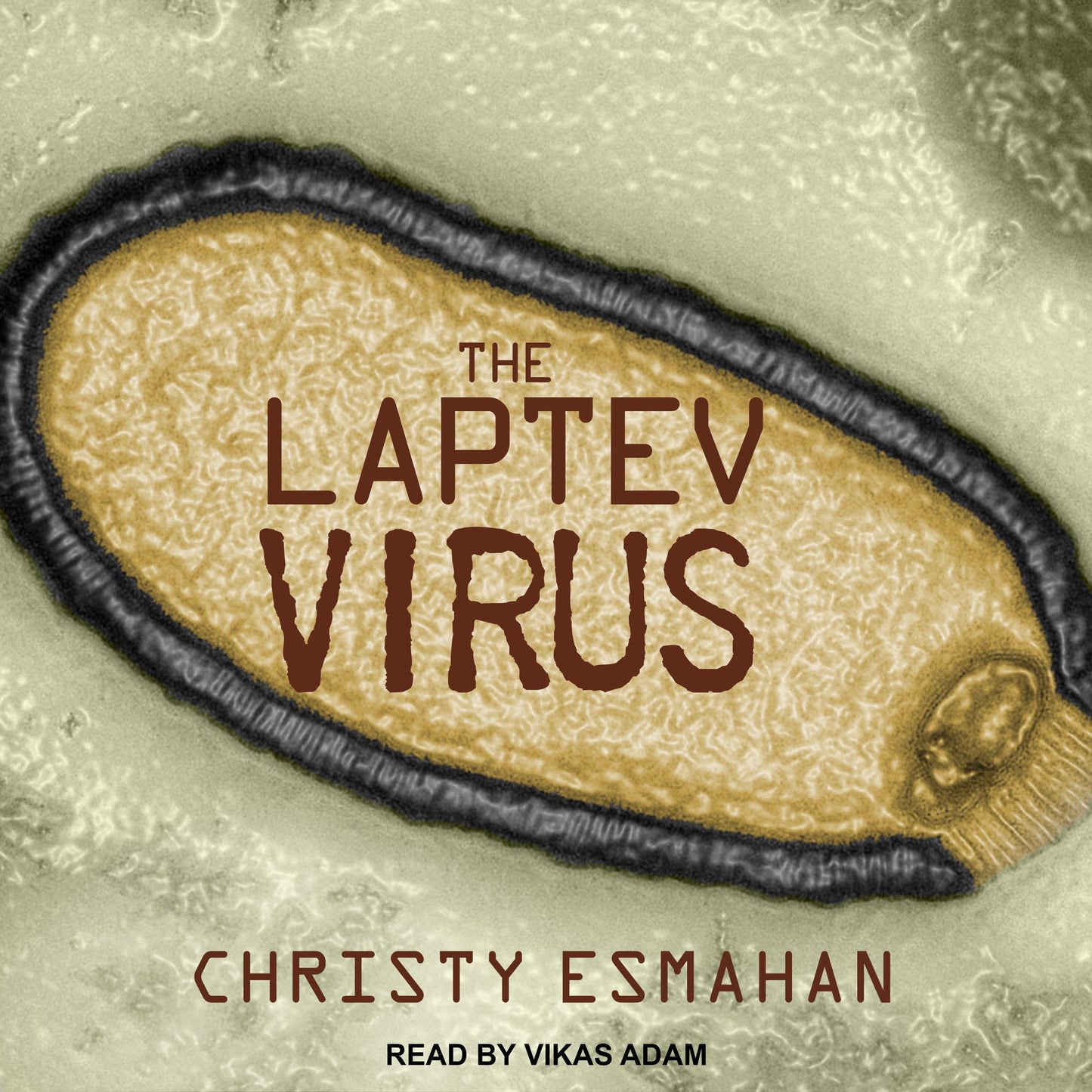 The Laptev Virus