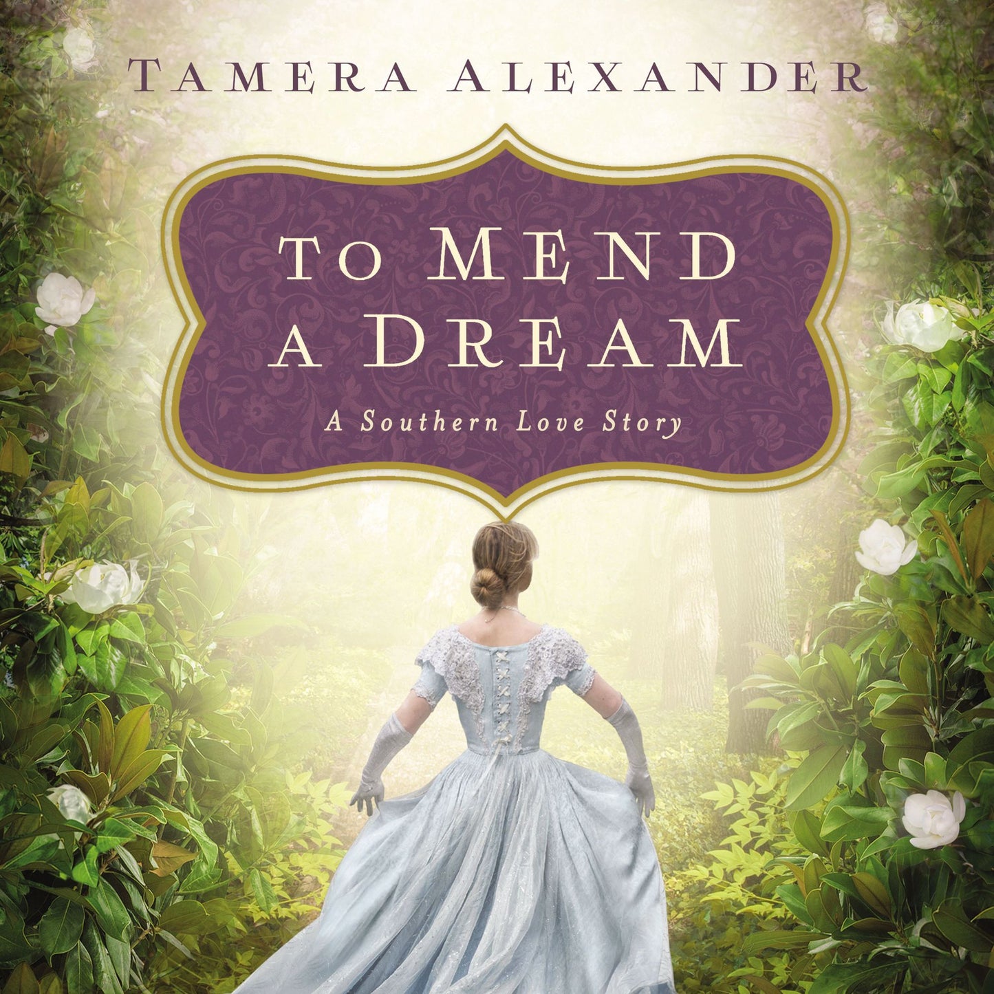 To Mend a Dream: A Southern Love Story