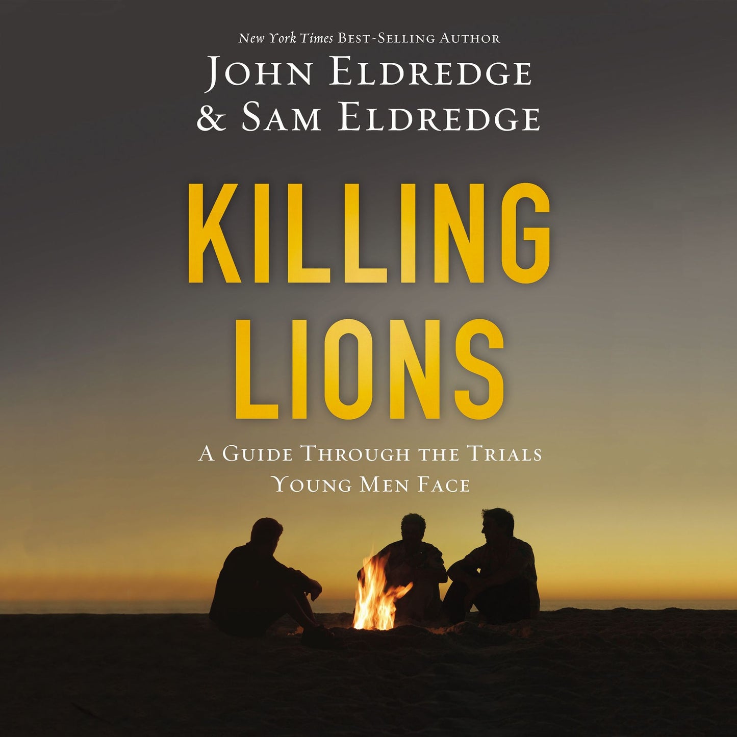 Killing Lions: A Guide Through the Trials Young Men Face