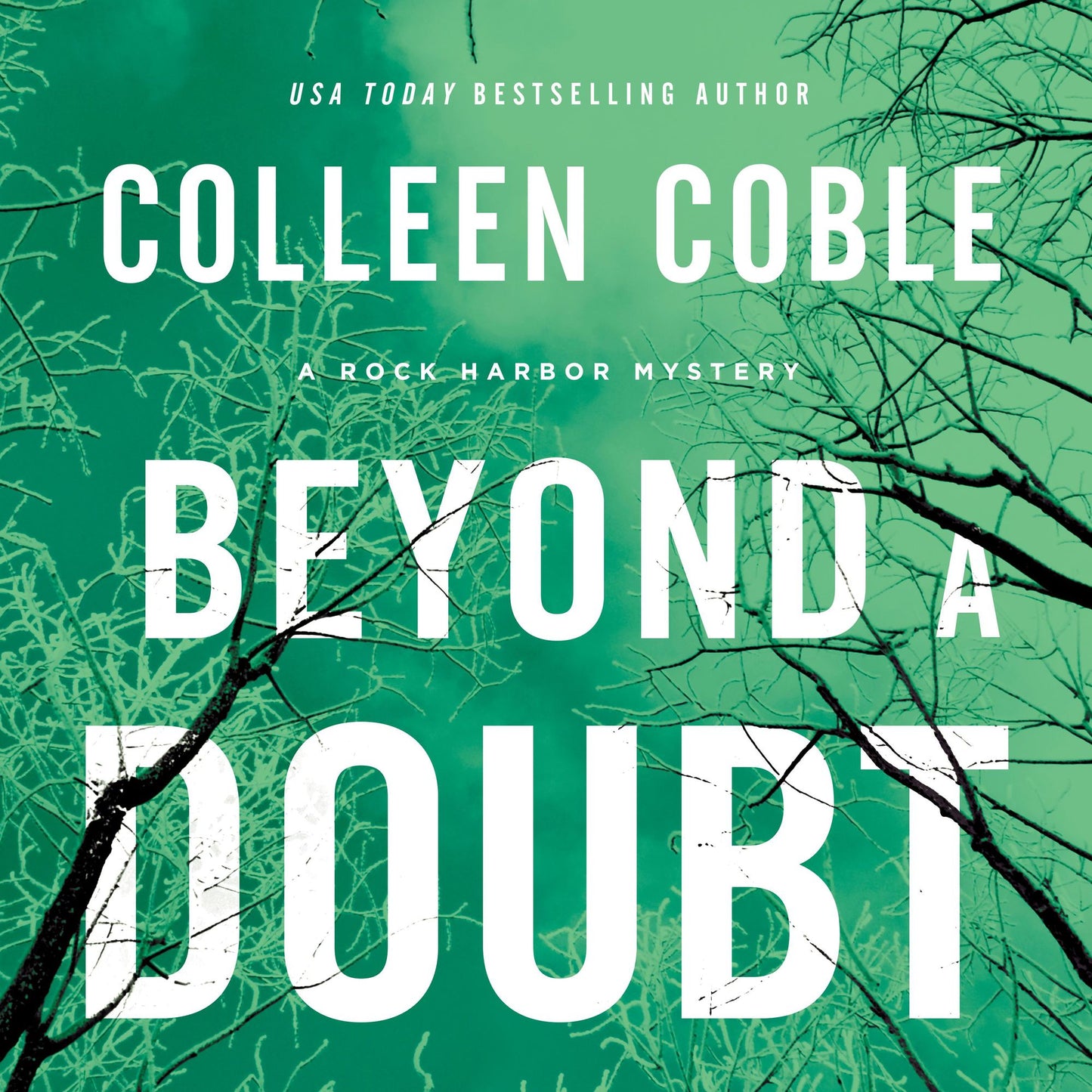 Beyond a Doubt: A Rock Harbor Mystery