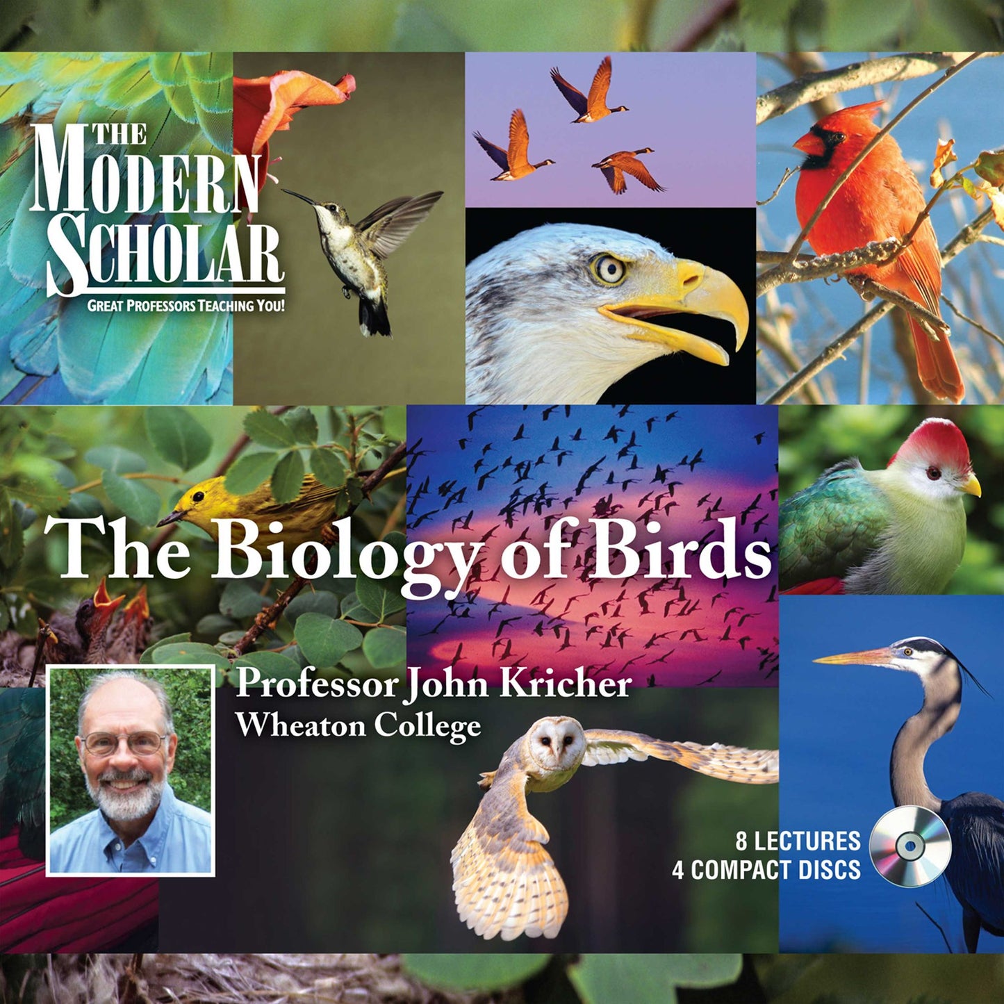 Biology of Birds