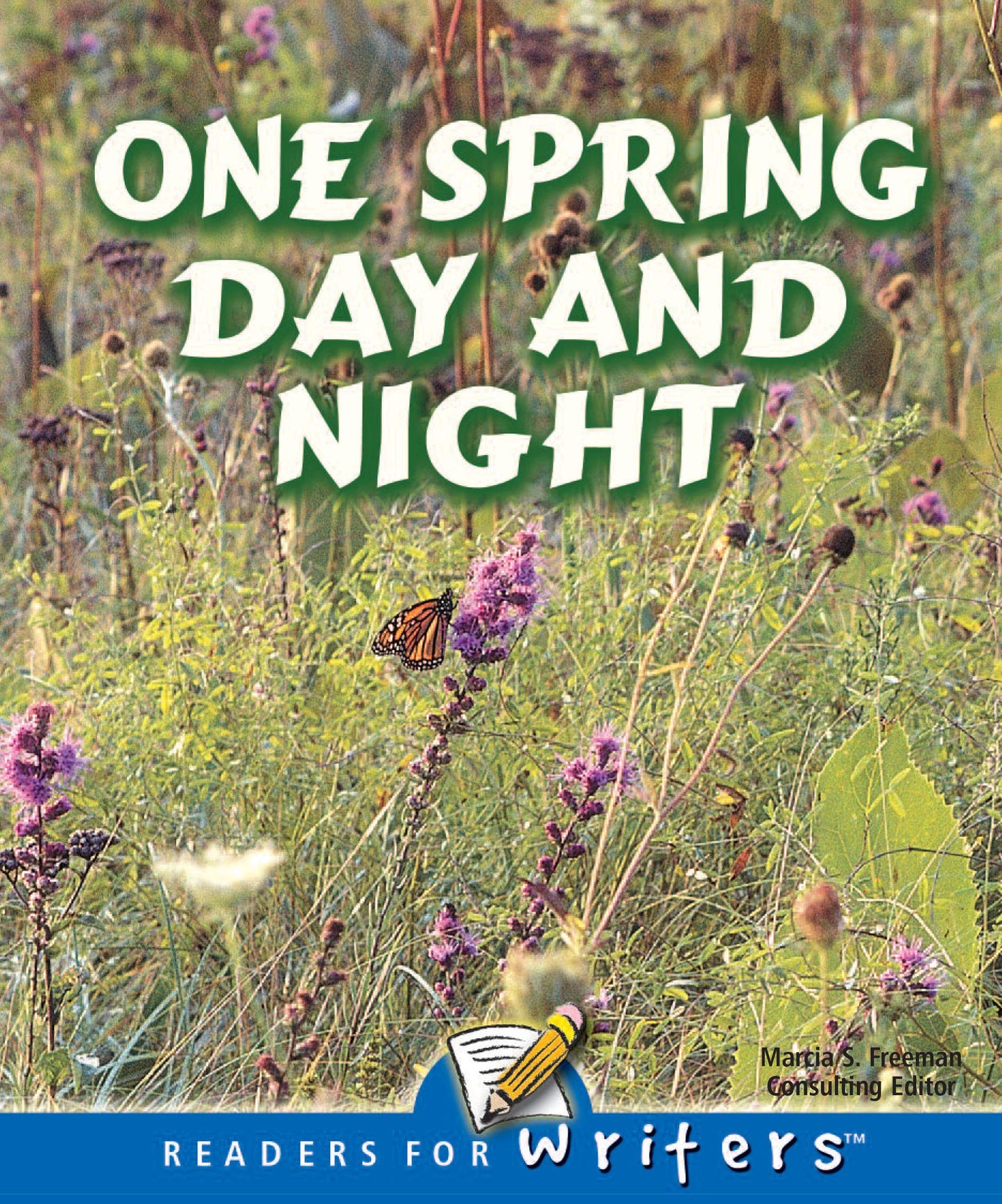 One Spring Day And Night