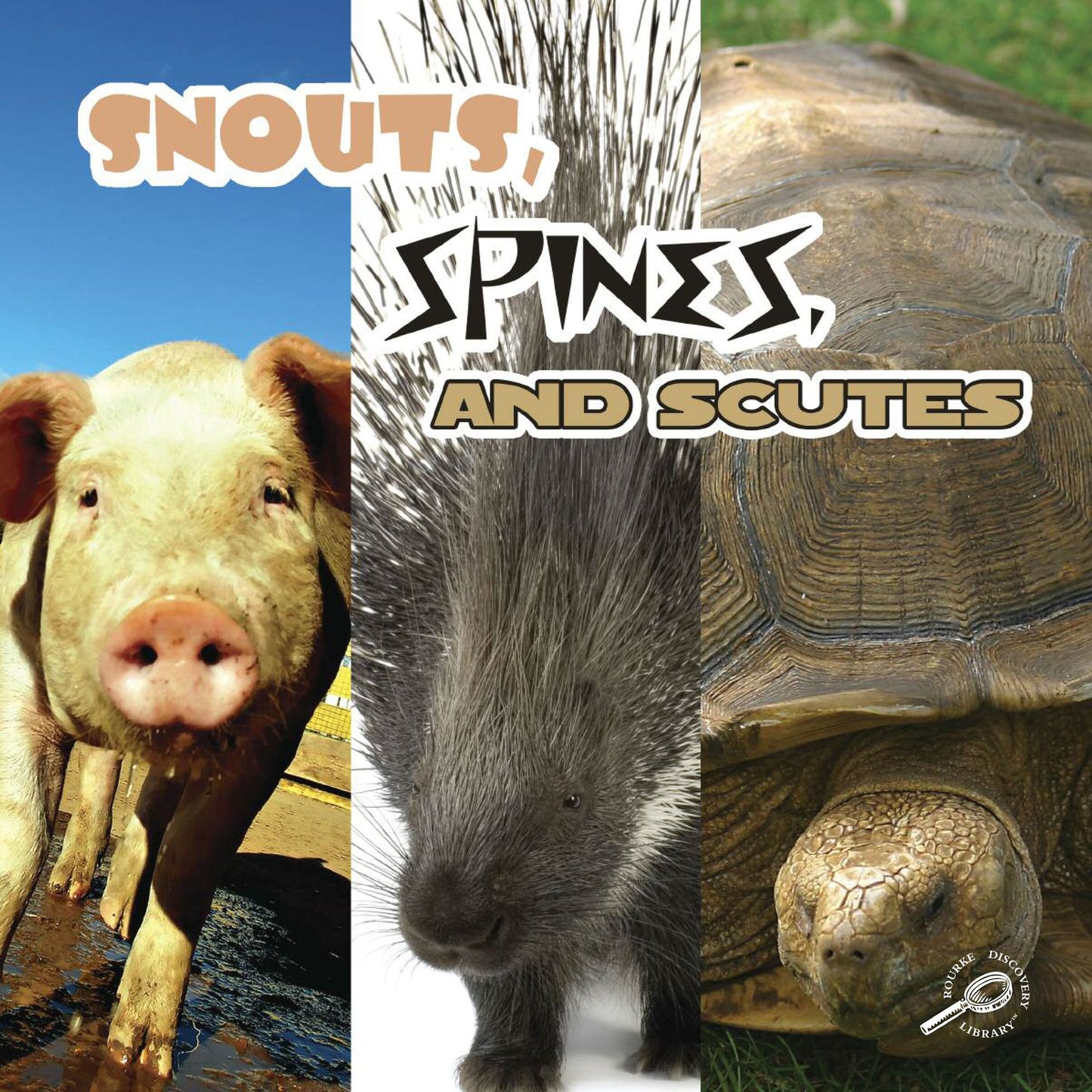 Snouts, Spines, and Scutes