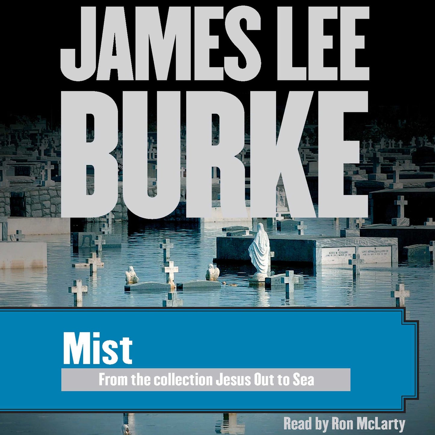 Mist: From the Collection 'Jesus Out to Sea'