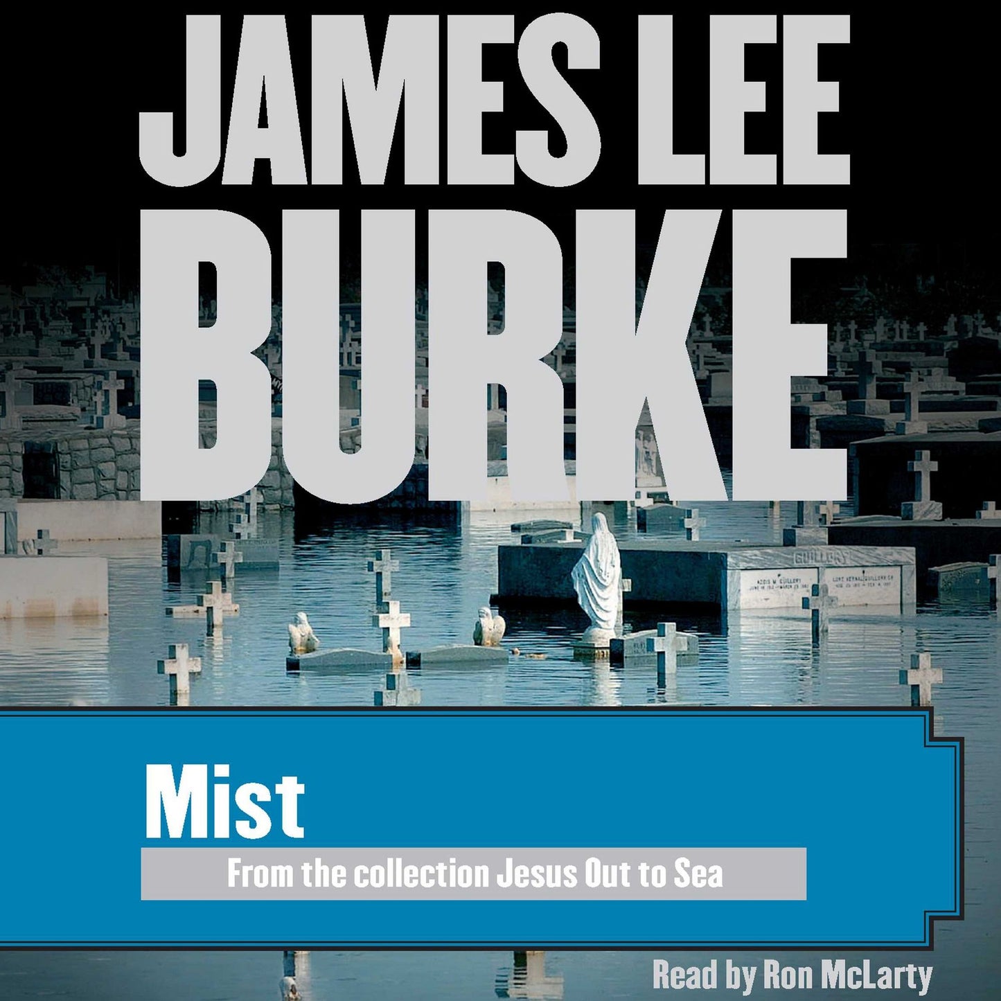 Mist: From the Collection 'Jesus Out to Sea'
