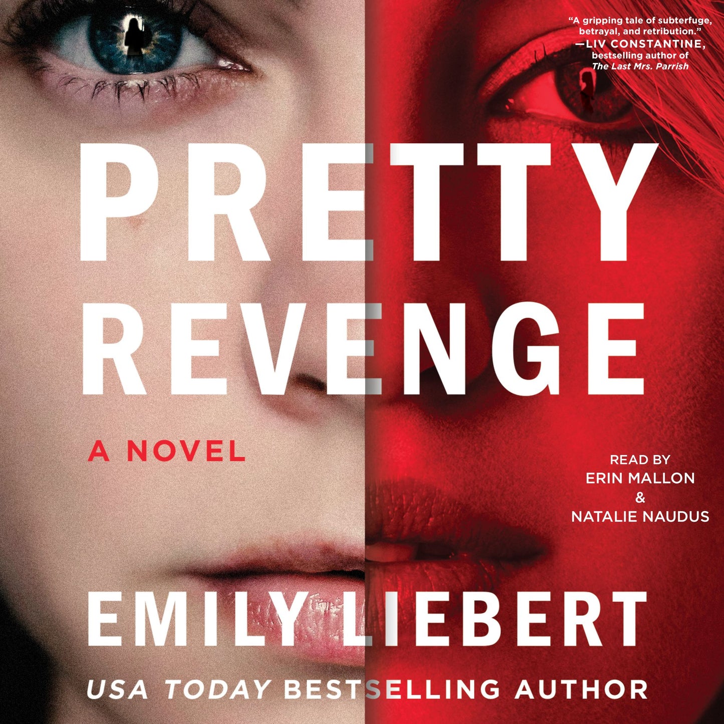 Pretty Revenge: A Novel