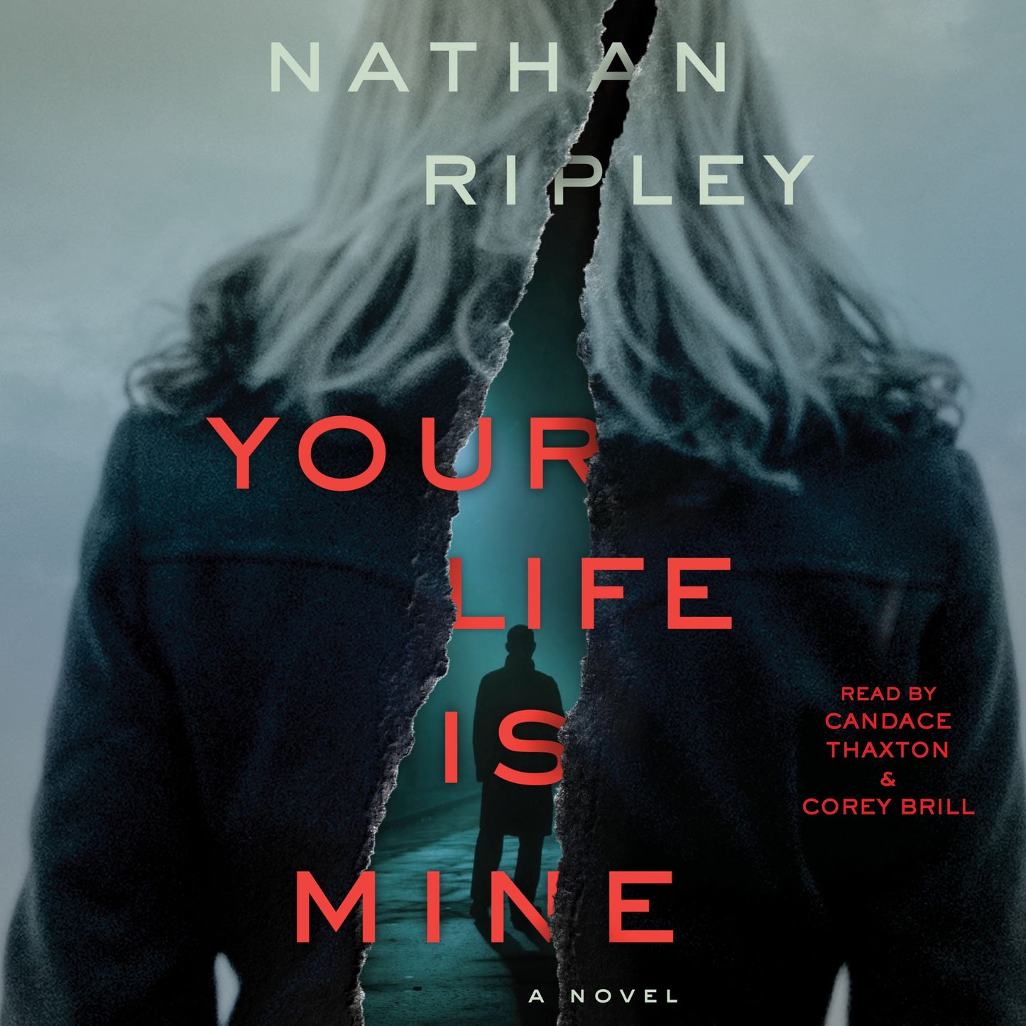 Your Life is Mine: A Novel