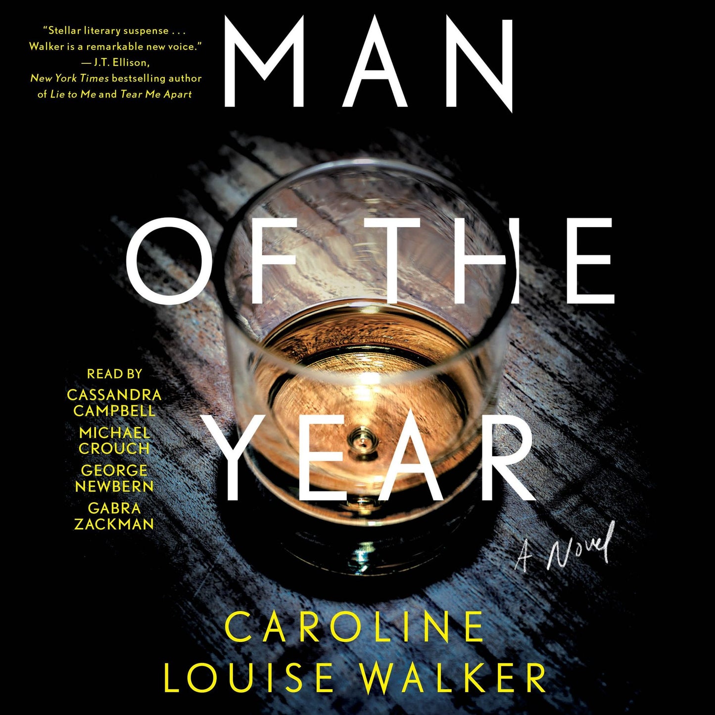 Man of the Year: A Novel