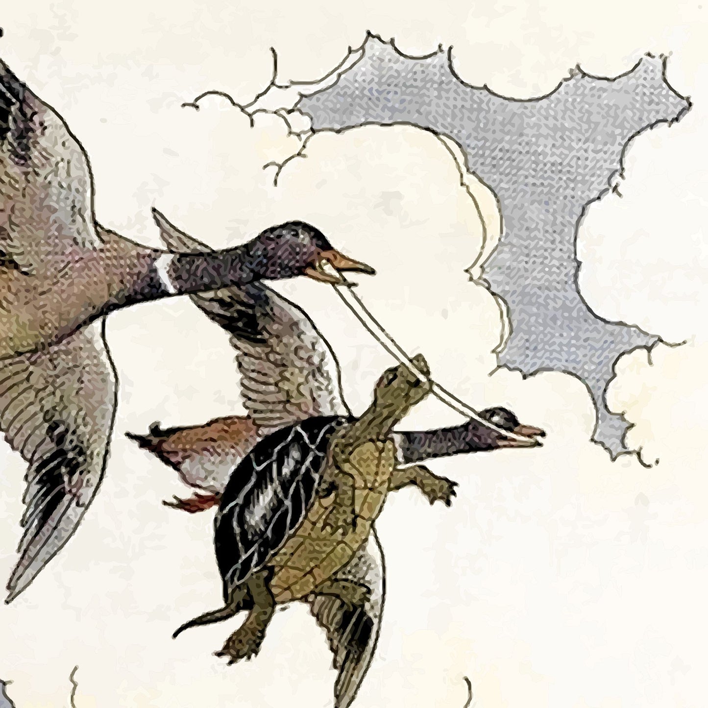 The Tortoise and the Geese