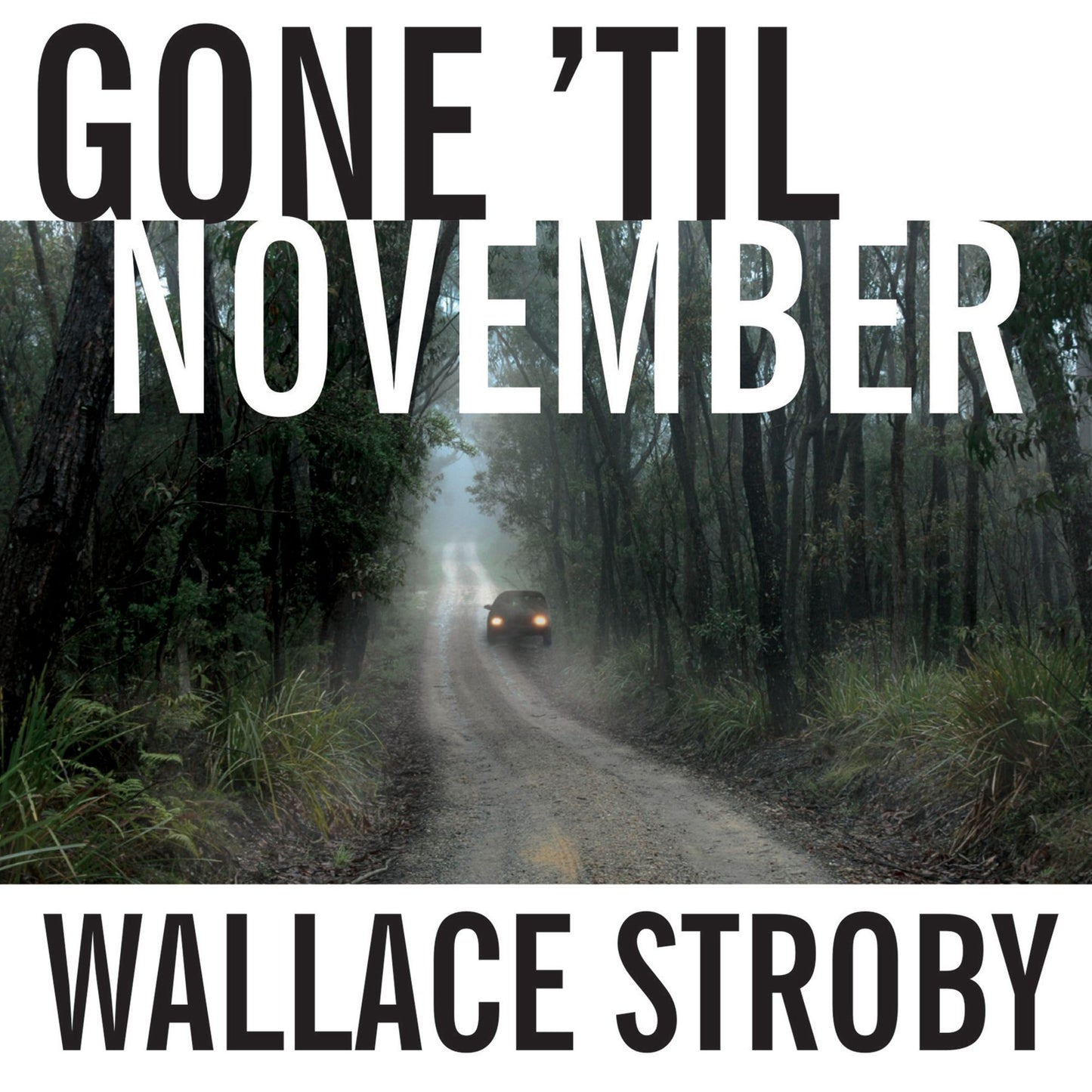 Gone 'til November: A Novel