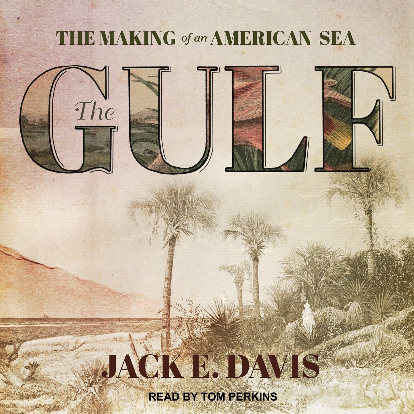 The Gulf: The Making of An American Sea