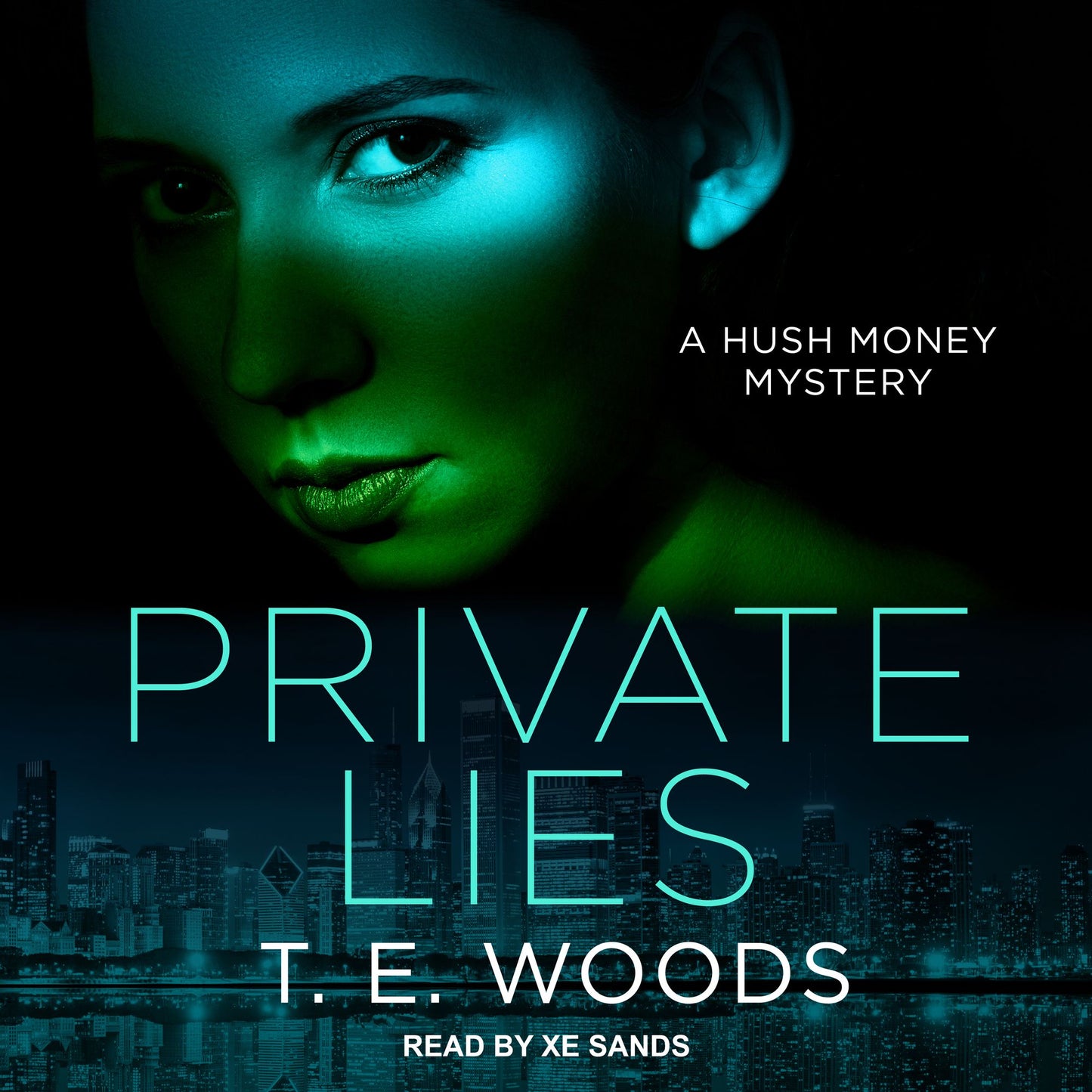 Private Lies: A Hush Money Mystery